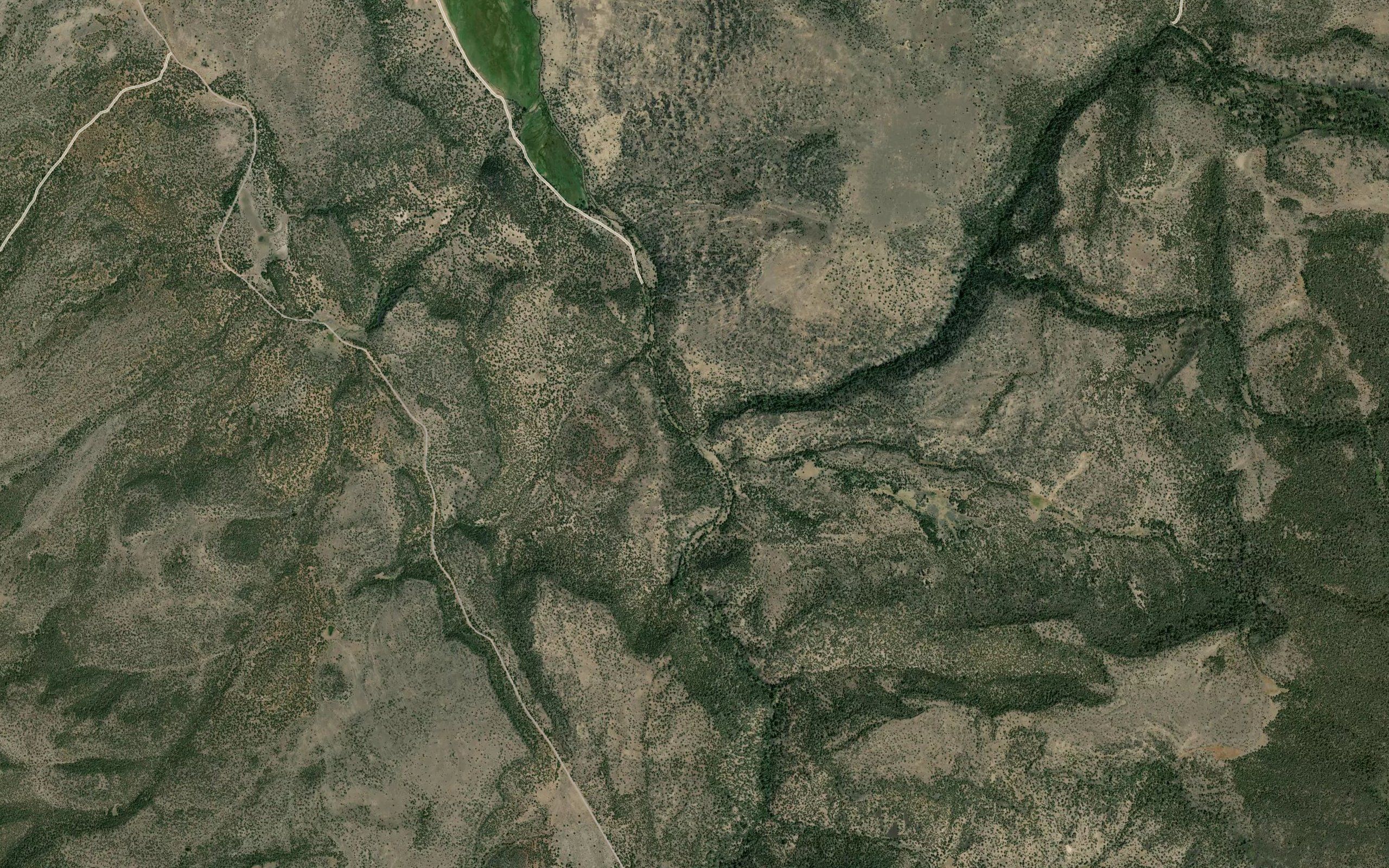 Parsnip Creek