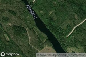 Niinijarvi