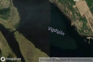 Vigdsjoen