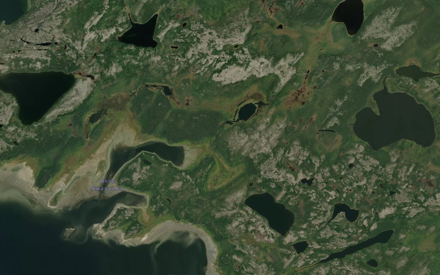Satellite map of the Anse Awasasich