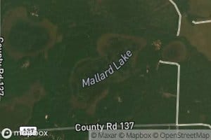 Mallard Lake