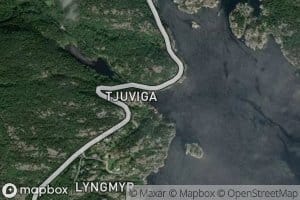 Tjuvika