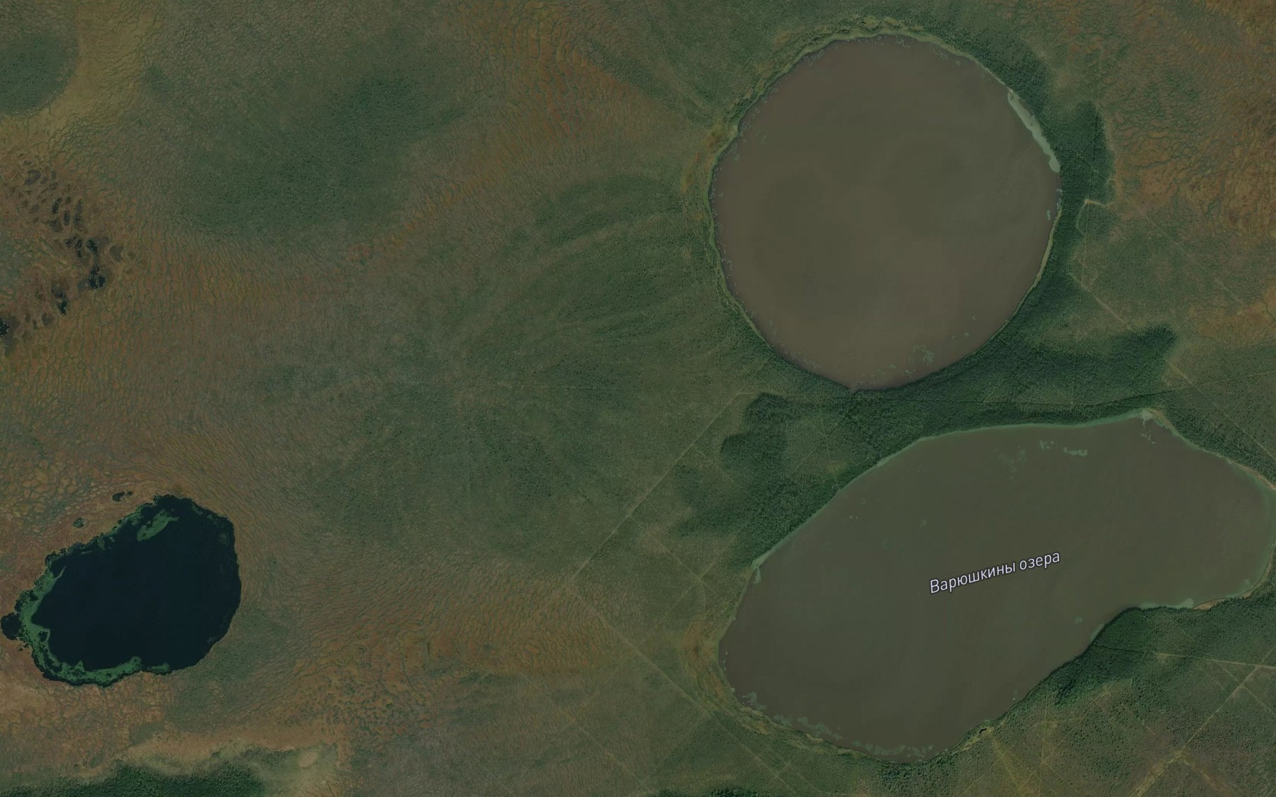 Satellite map of the Ozera Varyushkiny
