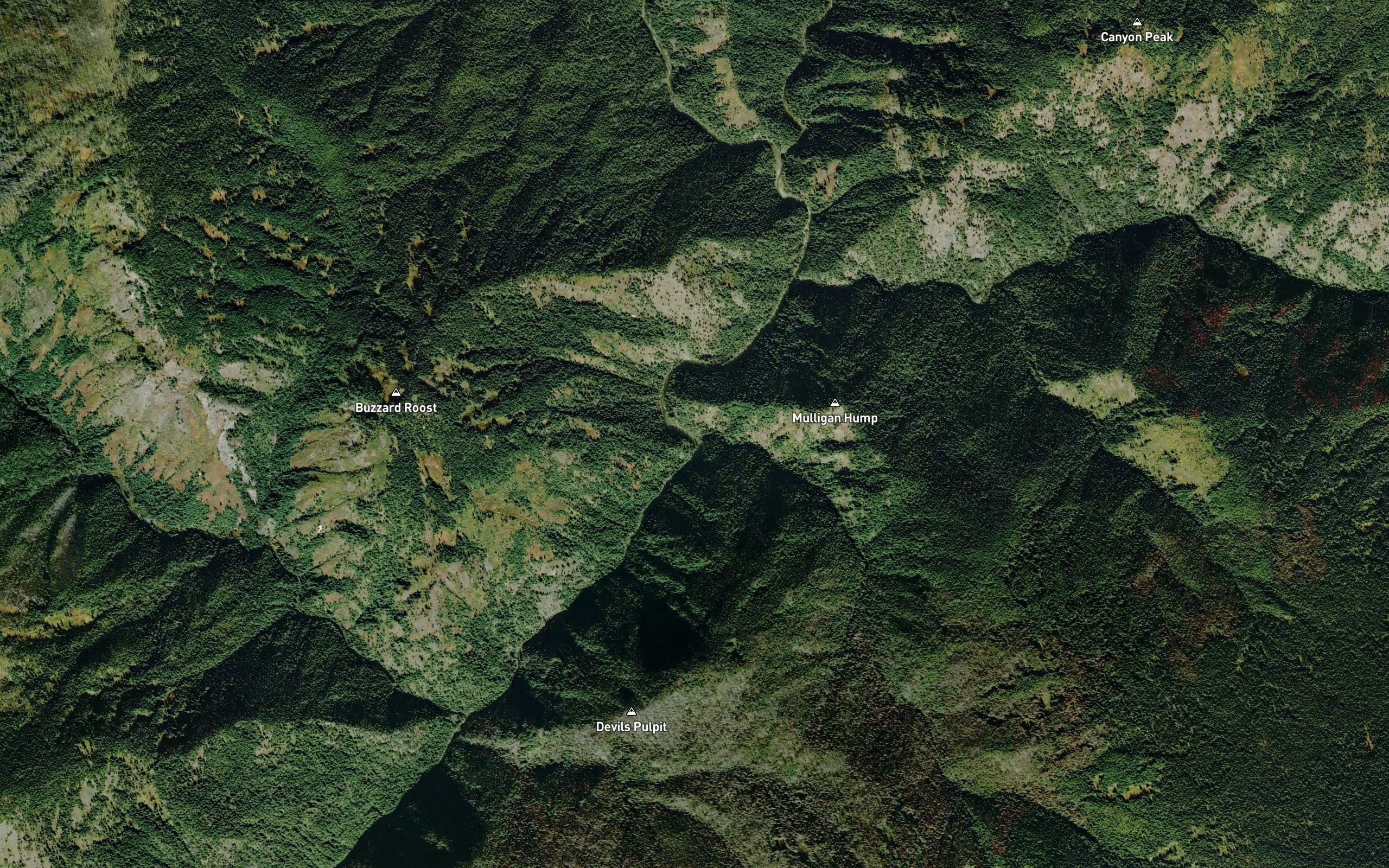 Larkins Creek