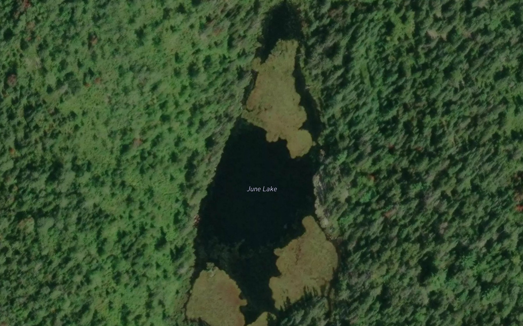 Satellite map of the June Lake