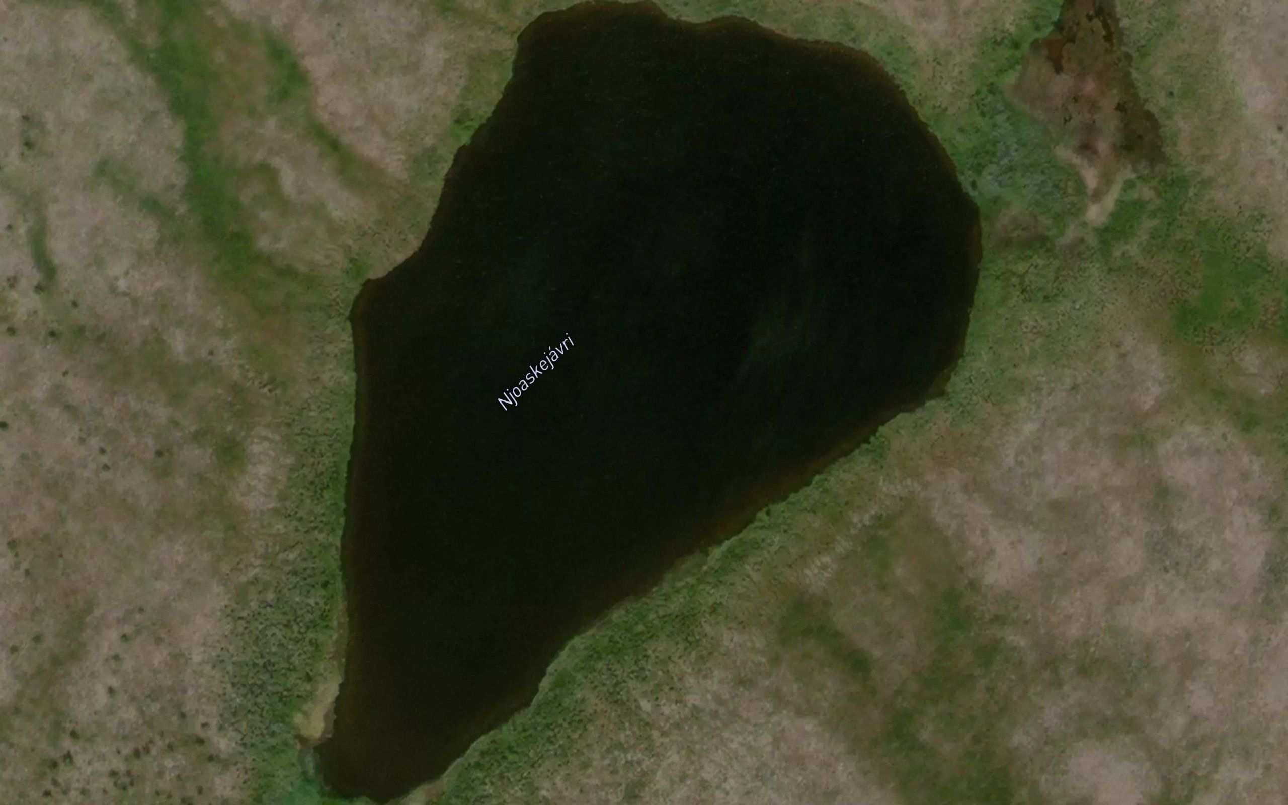 Njoaskejavri
