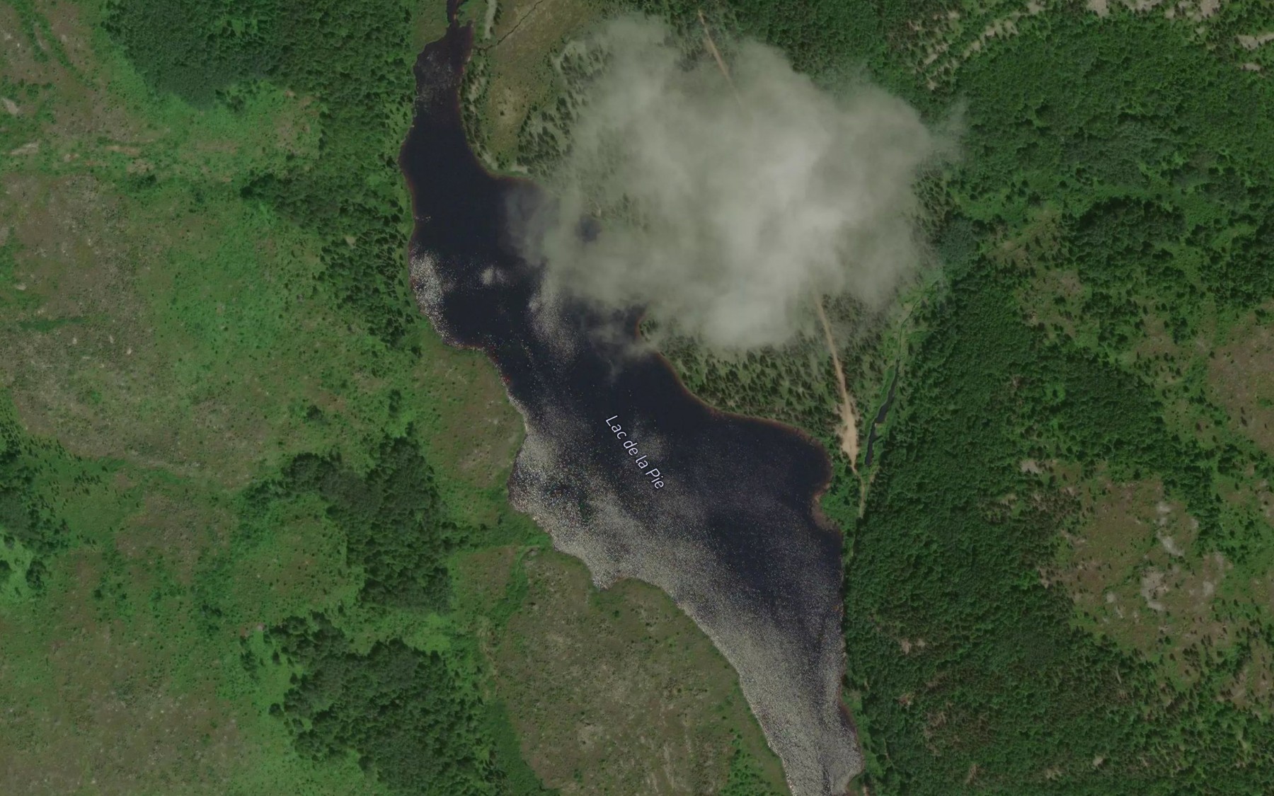 Satellite map of the Lac de la Pie