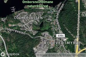 Dammene