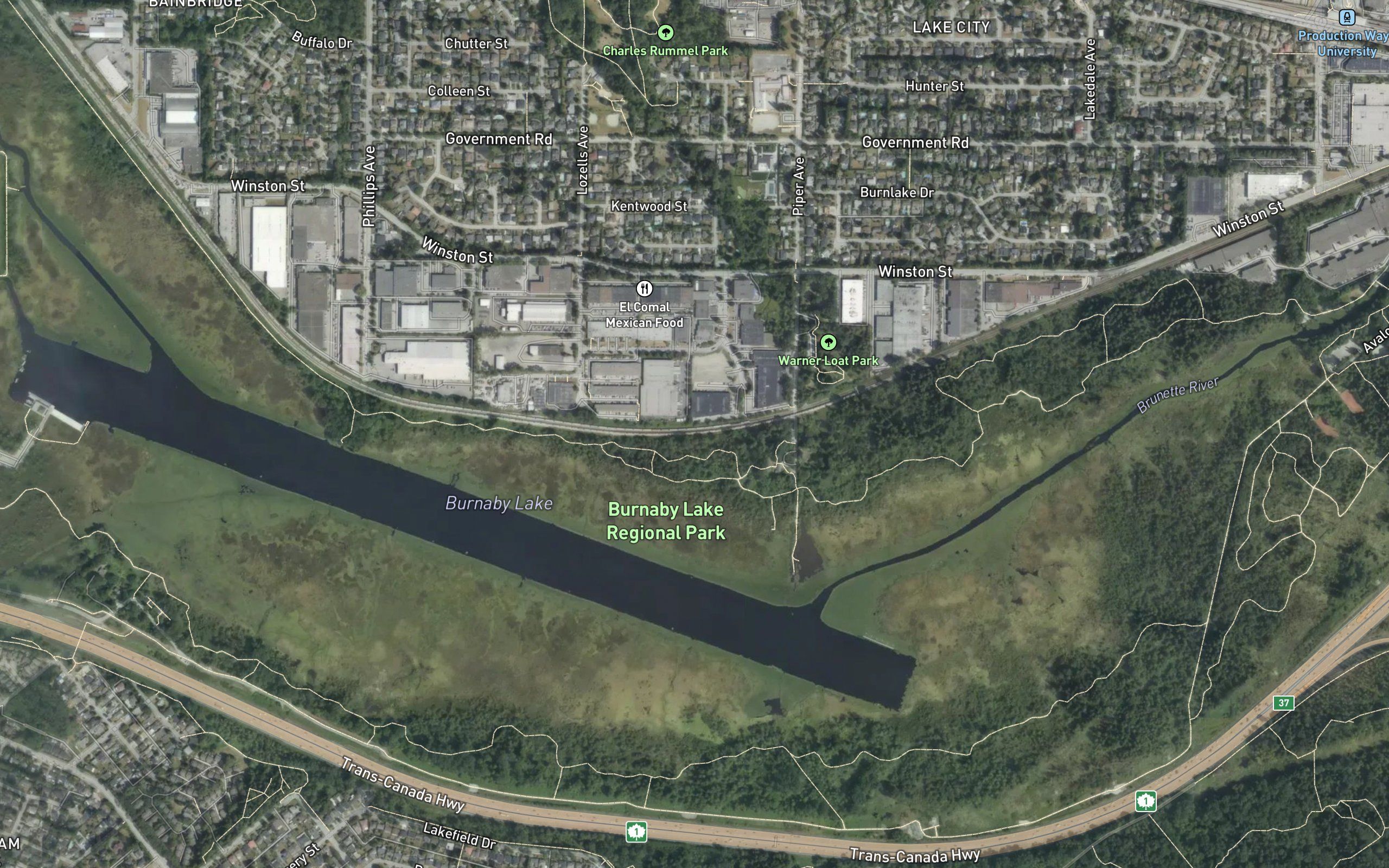 Burnaby Lake