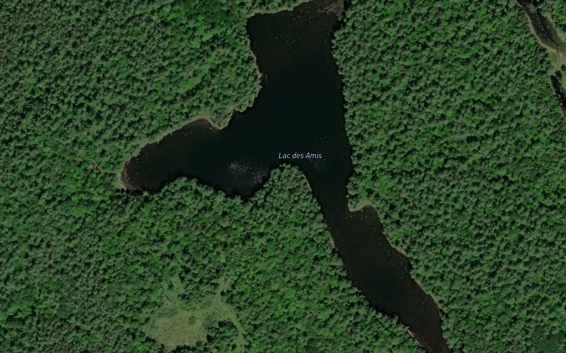 Satellite map of the Lac des Amis