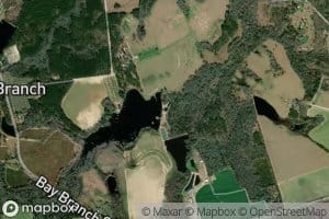 Daniels Pond