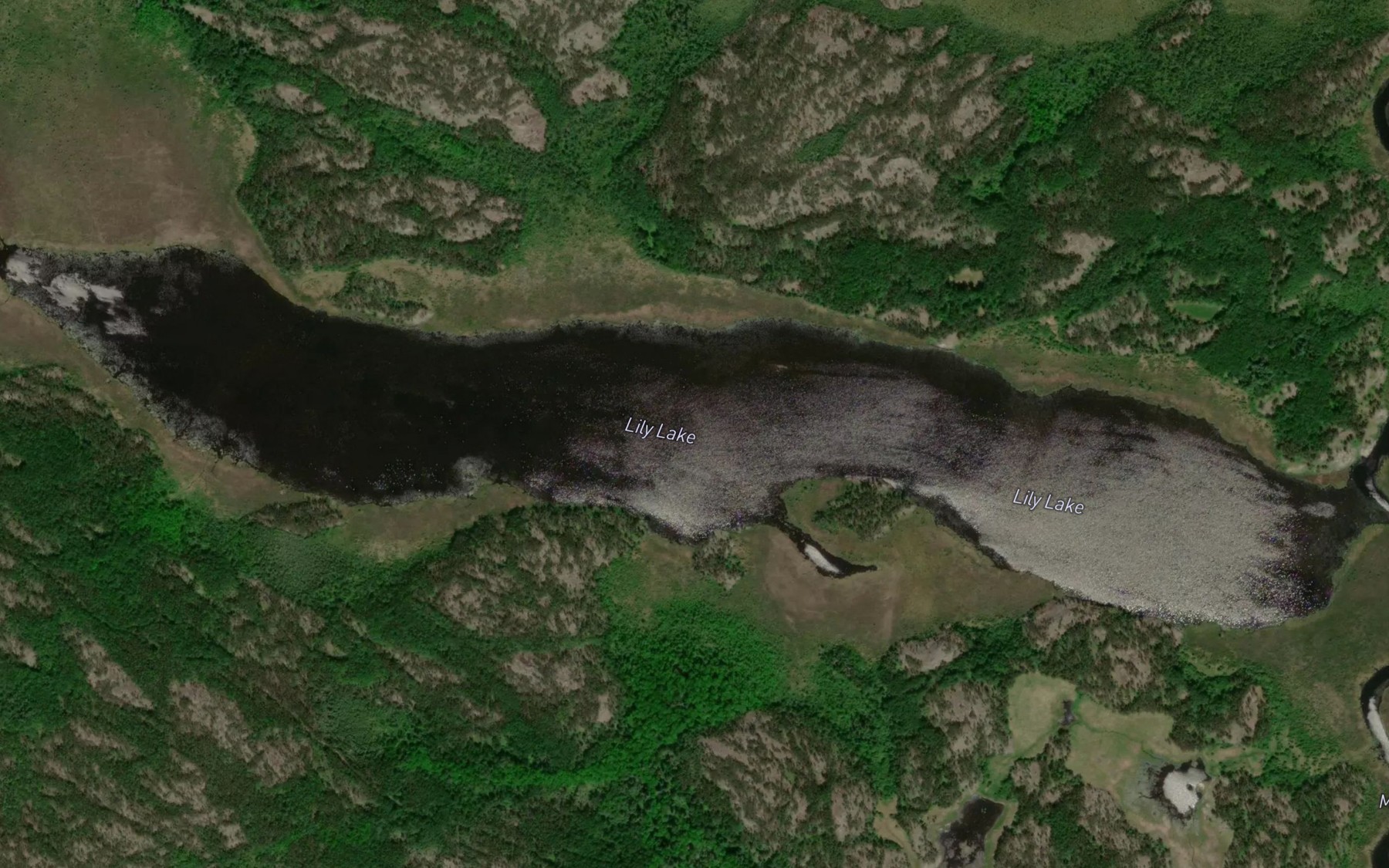 Satellite map of the Lily Lake