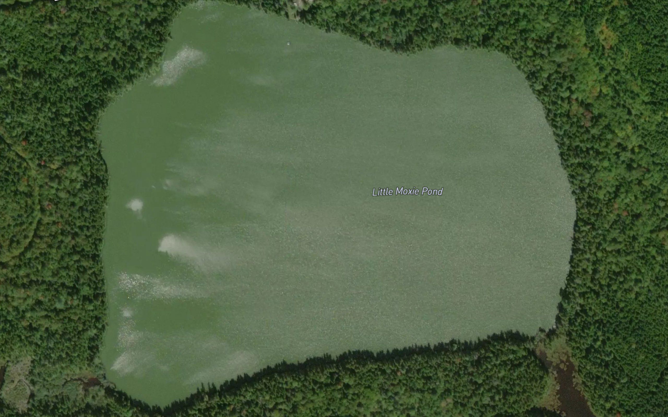 Little Moxie Pond
