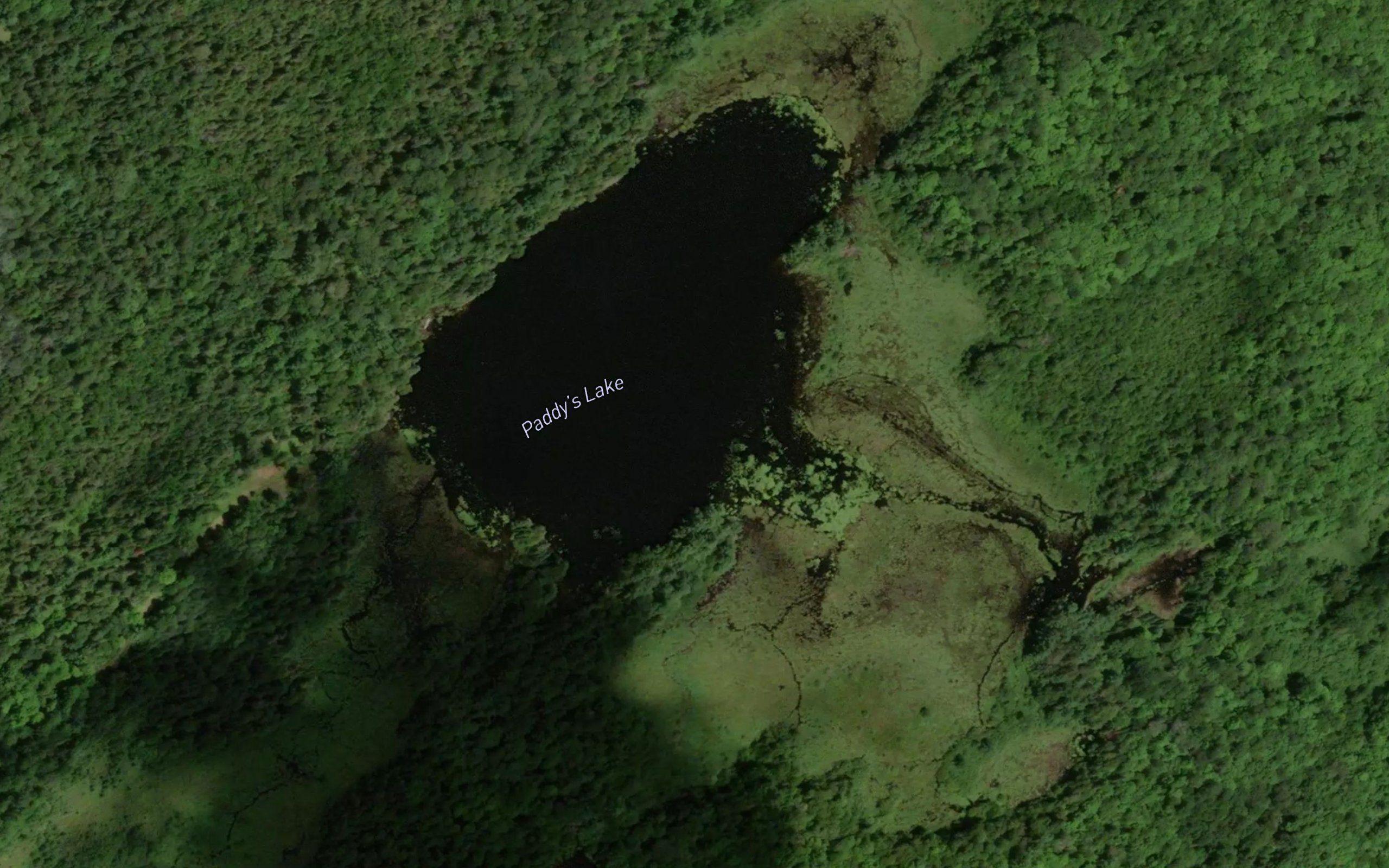 Paddy's Lake