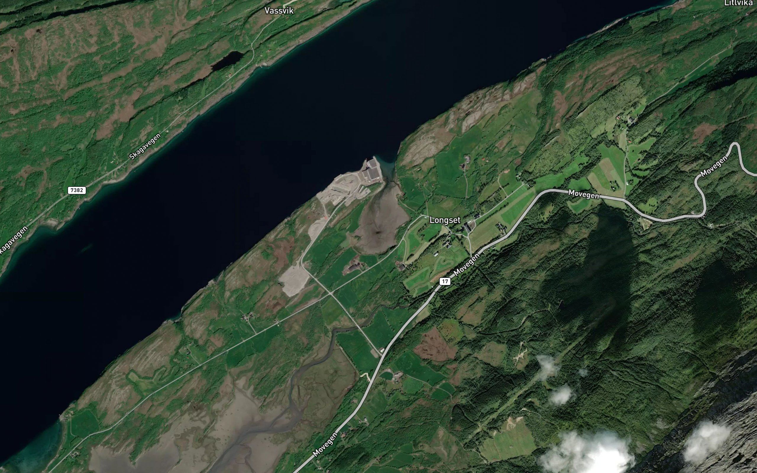 Engentjorna