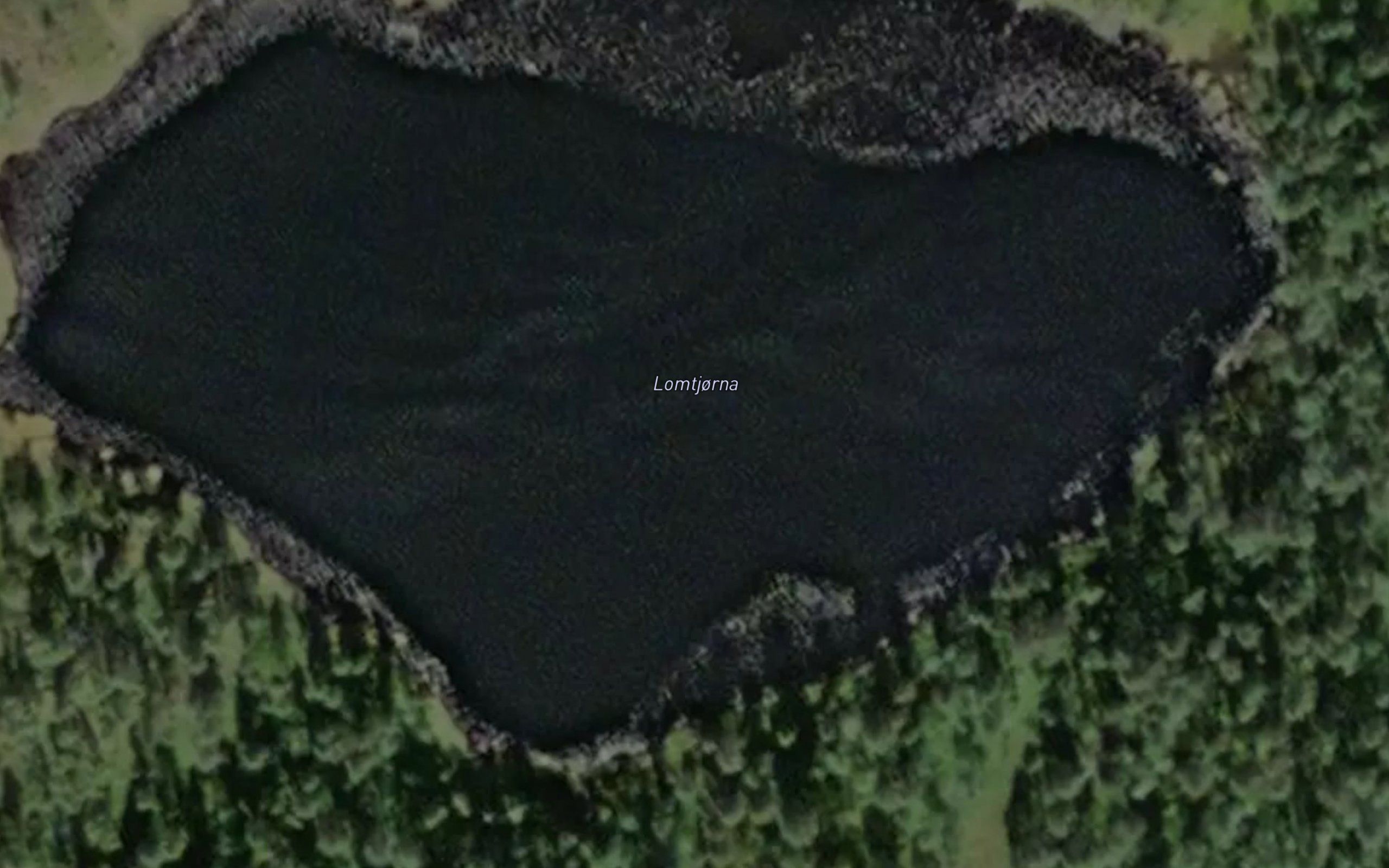 Lomtjorna