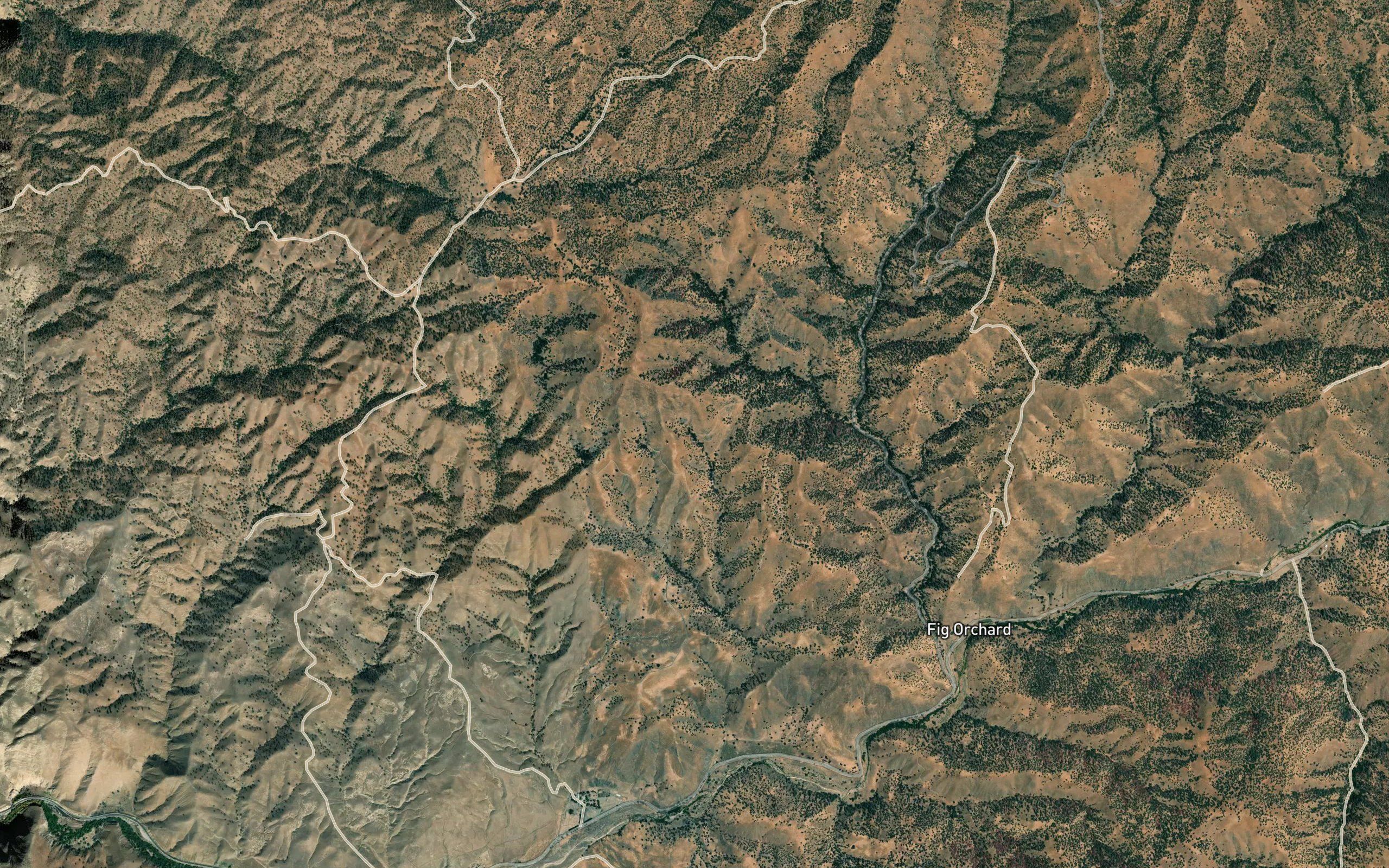Turman Spring
