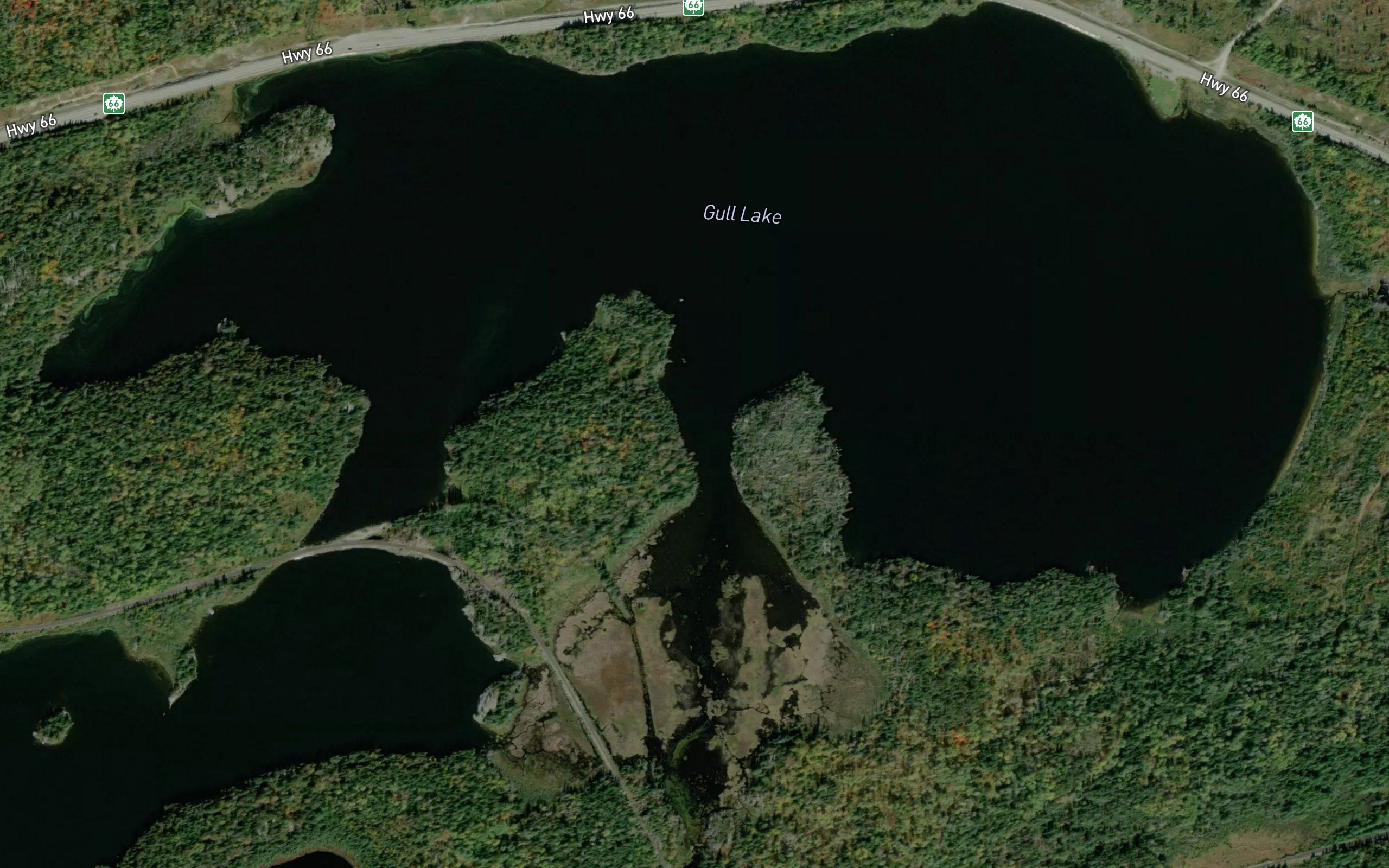 Gull Lake