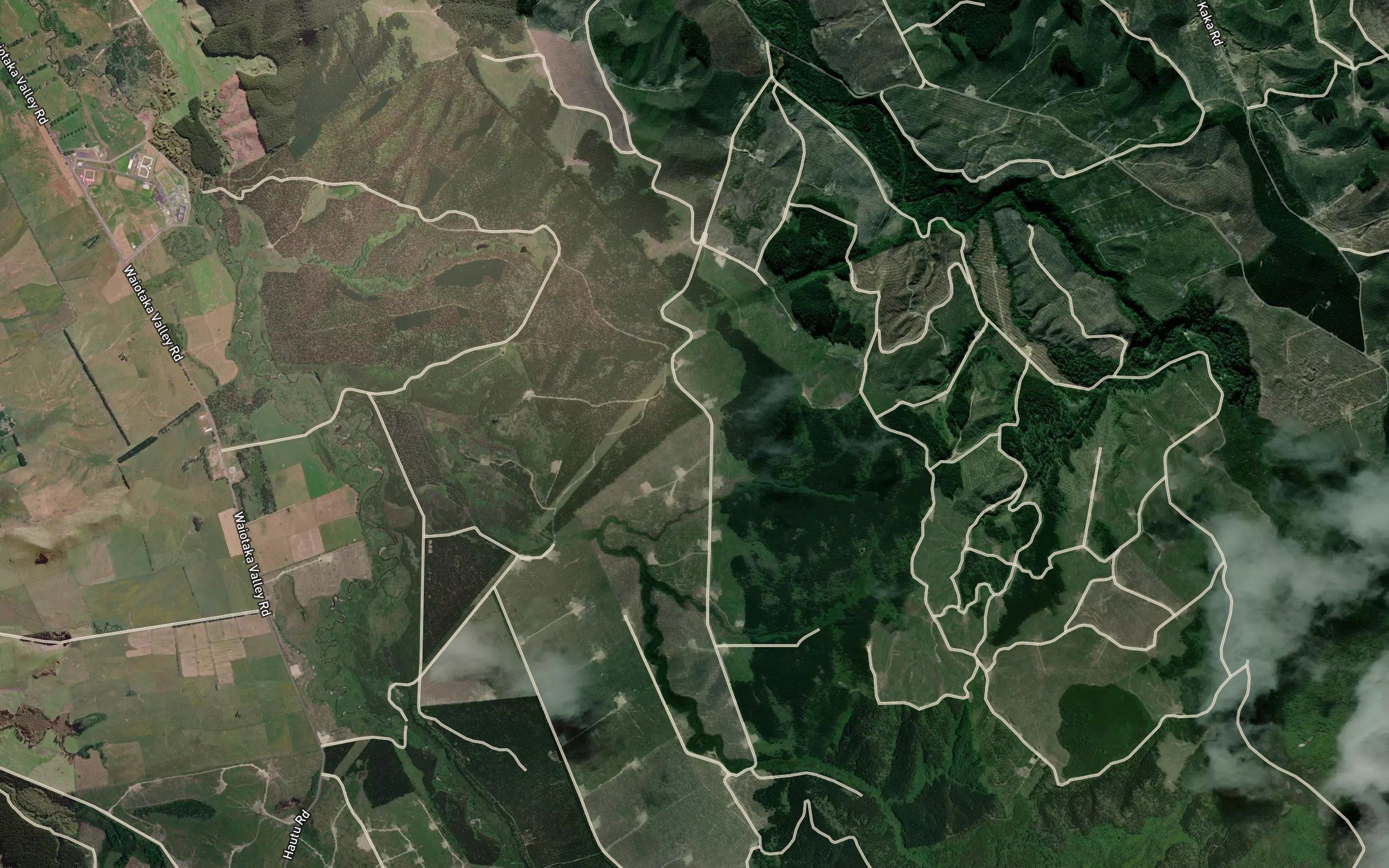Opuarito Stream