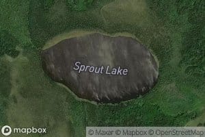 Sprout Lake