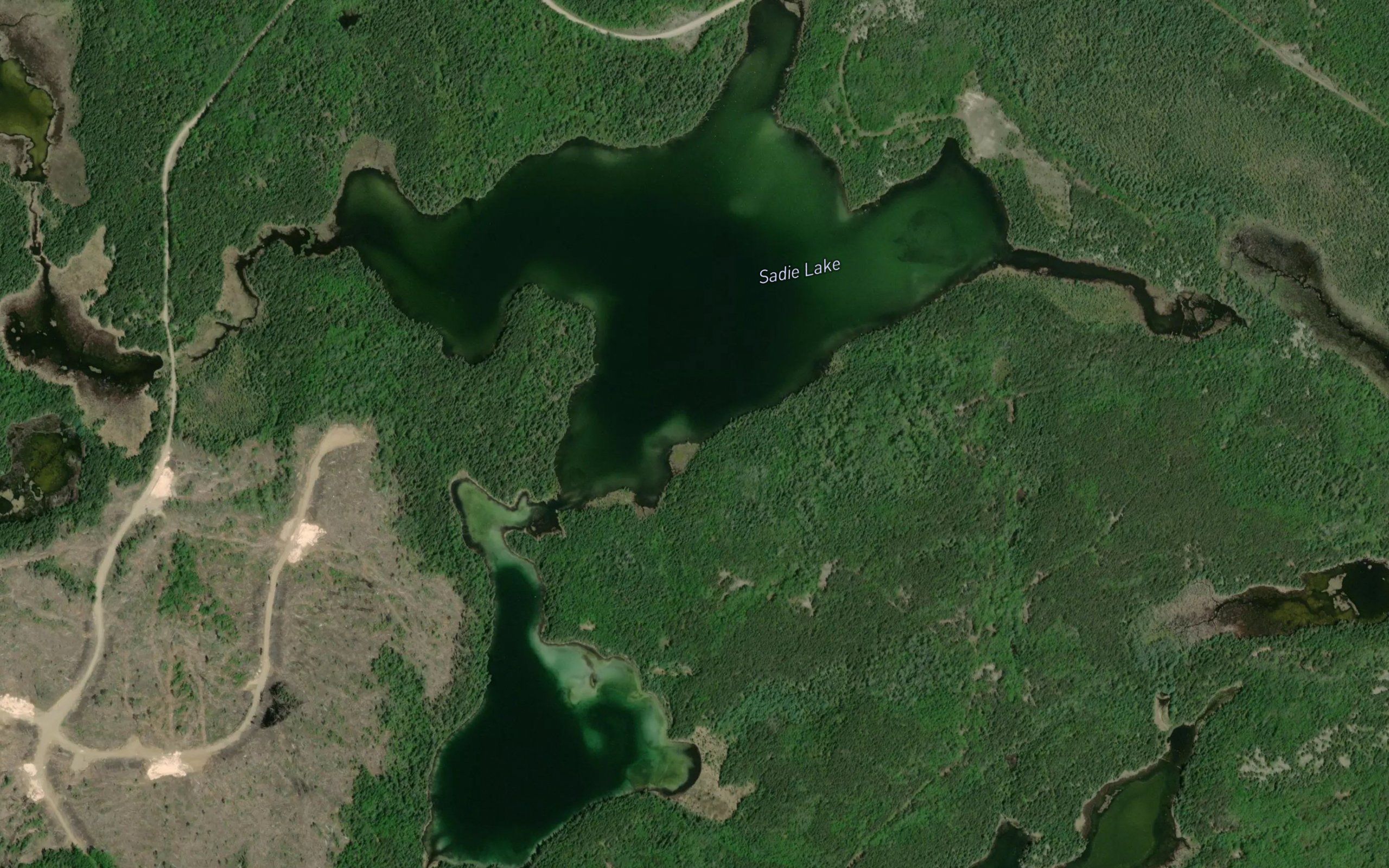 Sadie Lake
