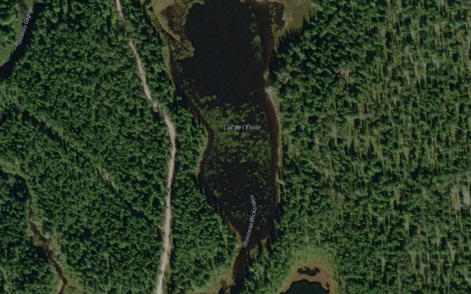 Satellite map of the Lac de l'Etoile