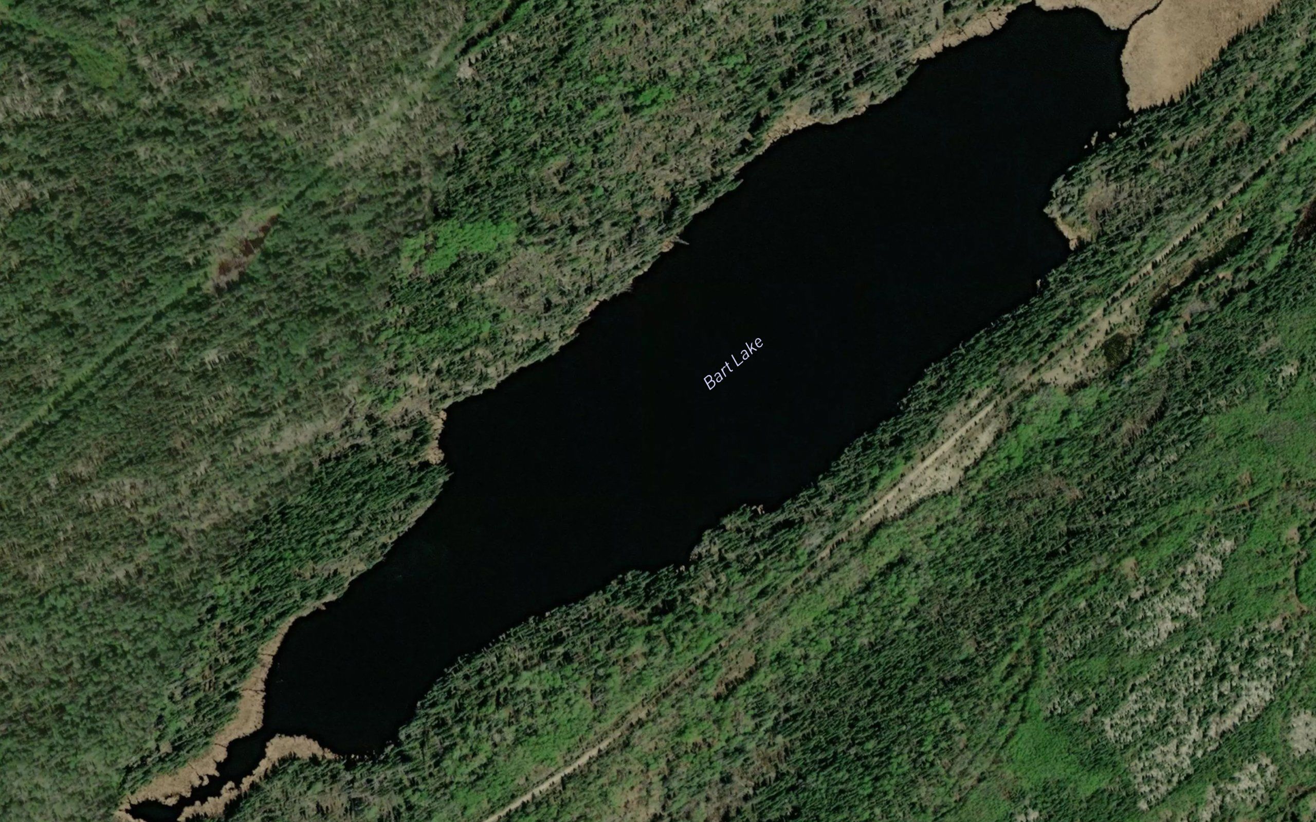 Bart Lake