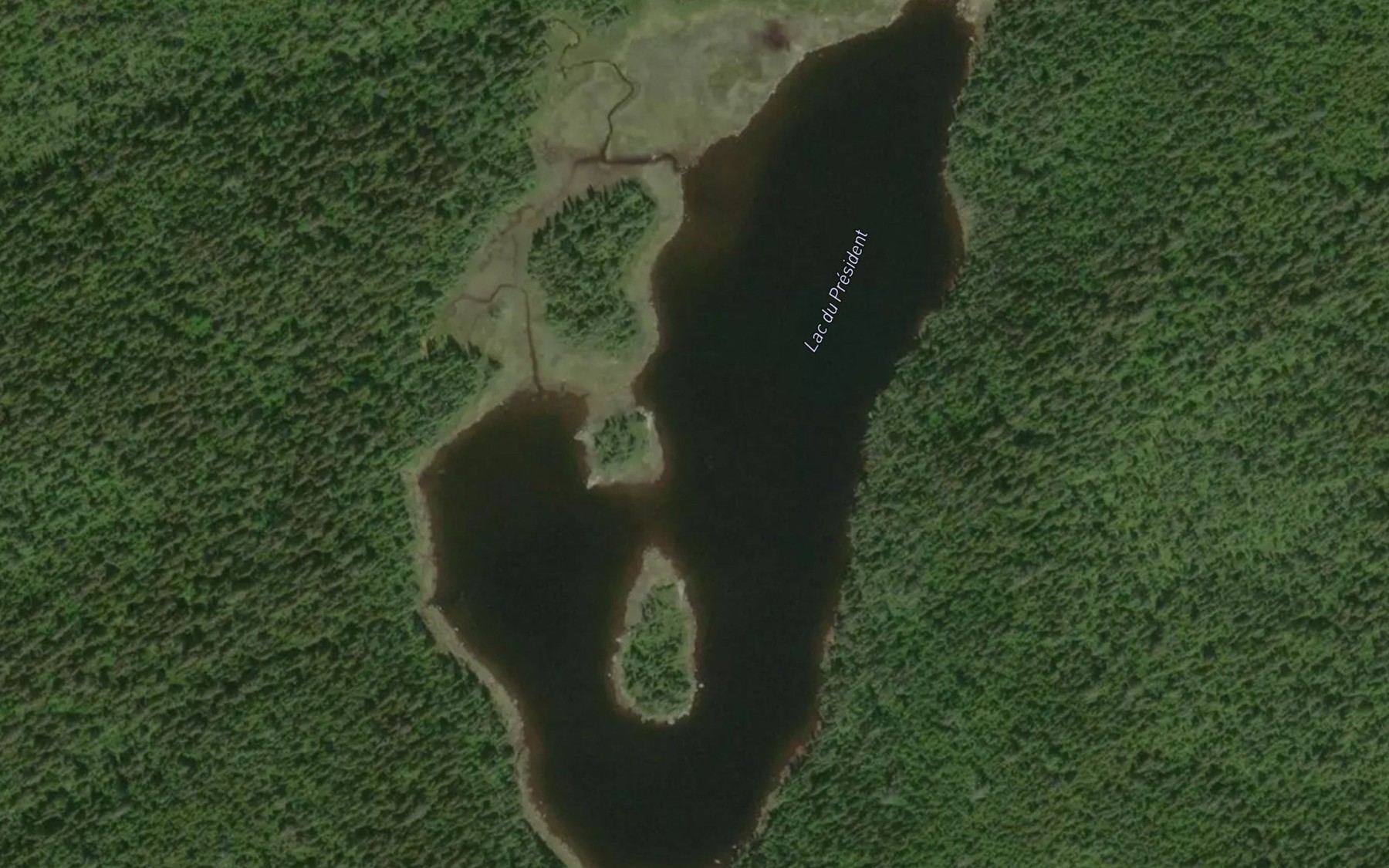 Satellite map of the Lac du President