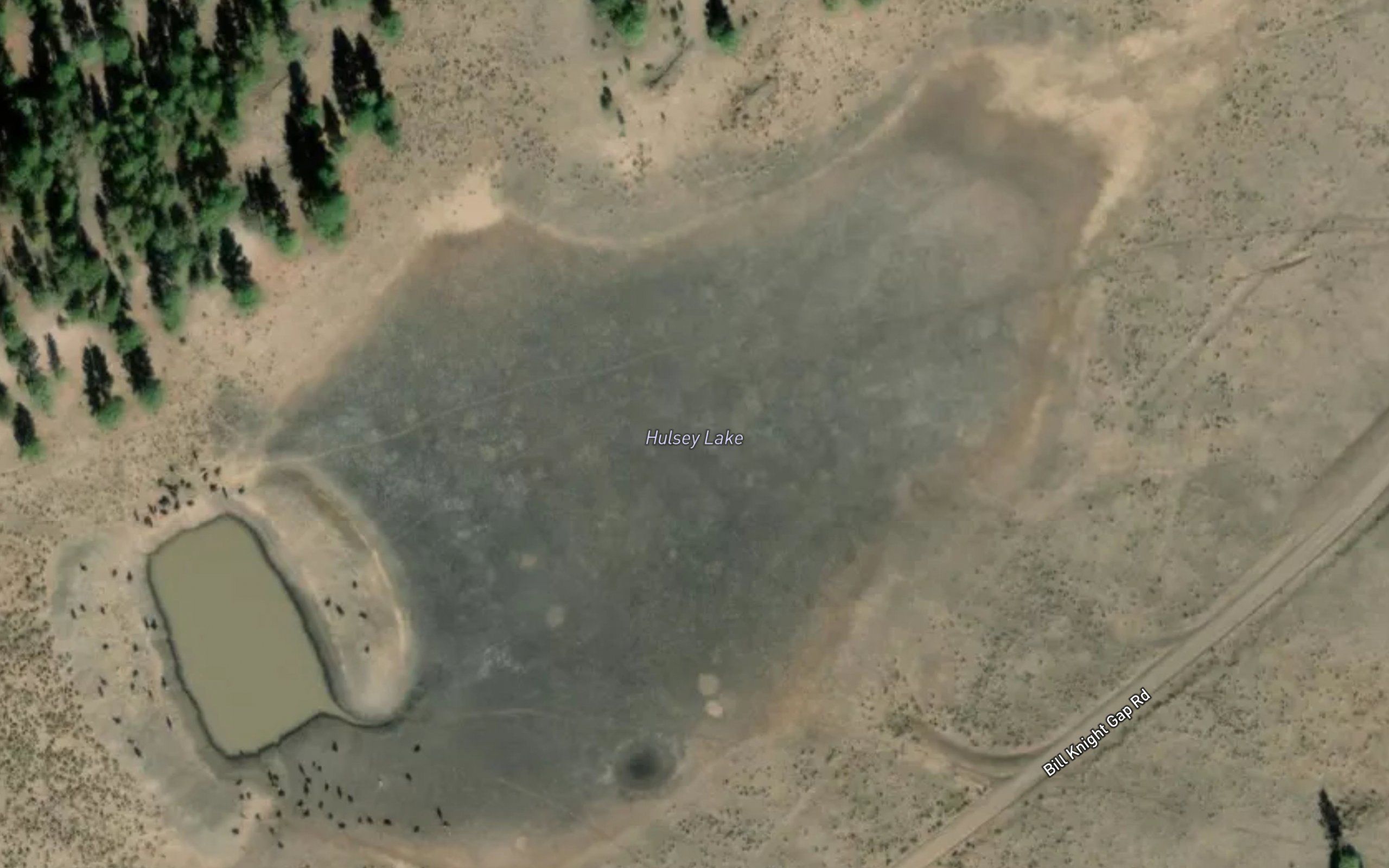 Hulsey Lake