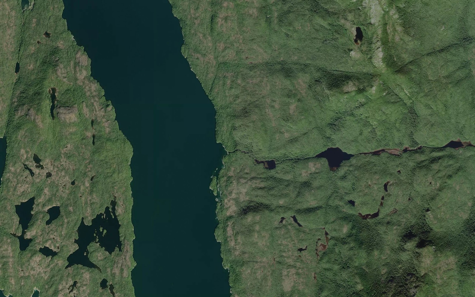 Satellite map of the Powles Creek