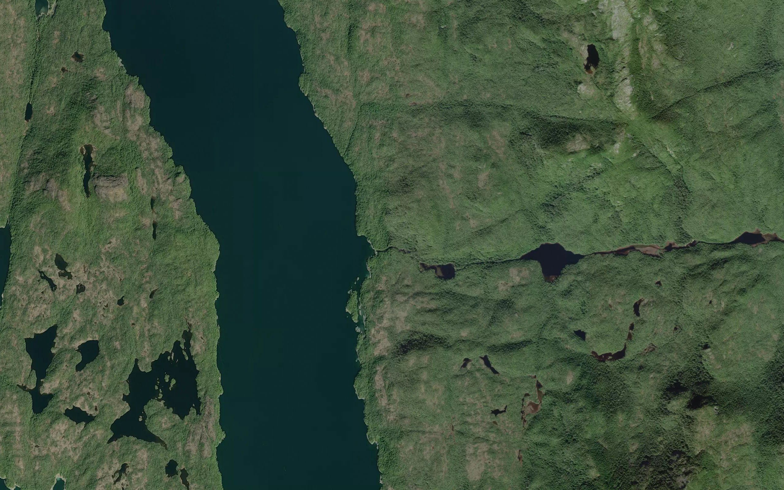 Powles Creek