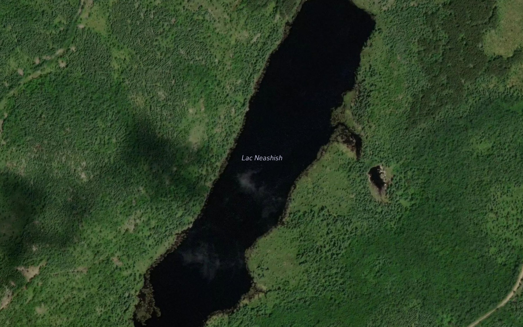Satellite map of the Lac Neashish