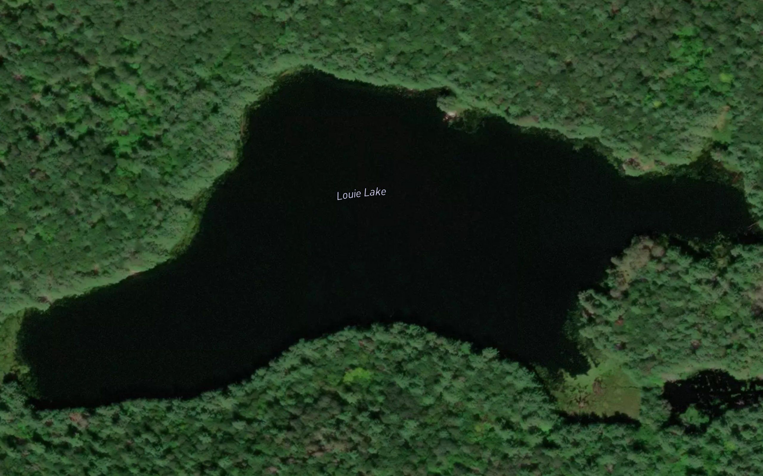 Louie Lake