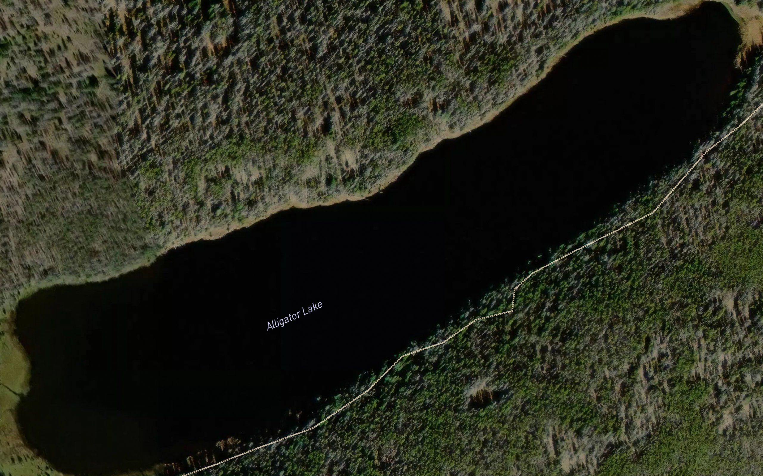 Alligator Lake