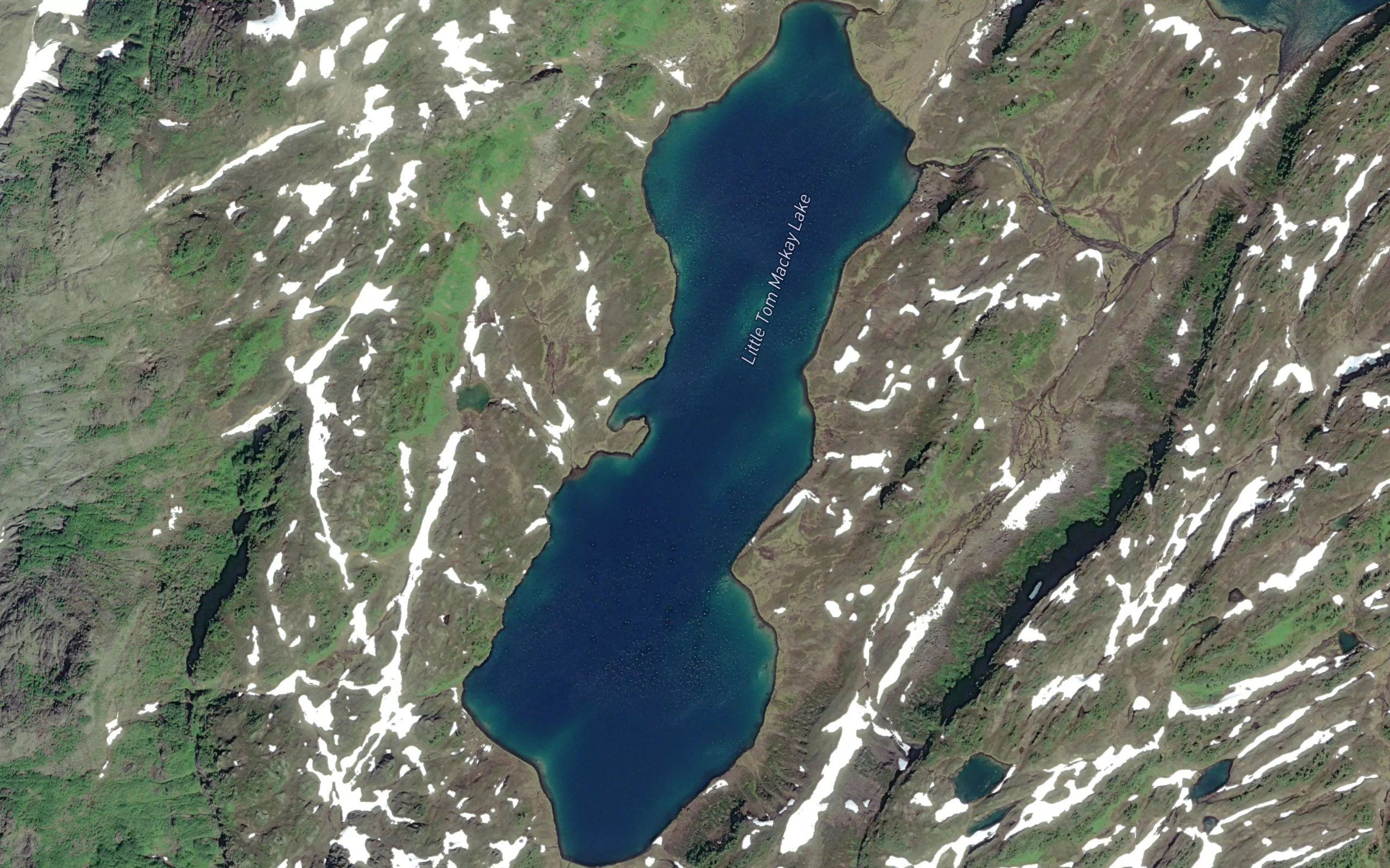 Little Tom Mackay Lake