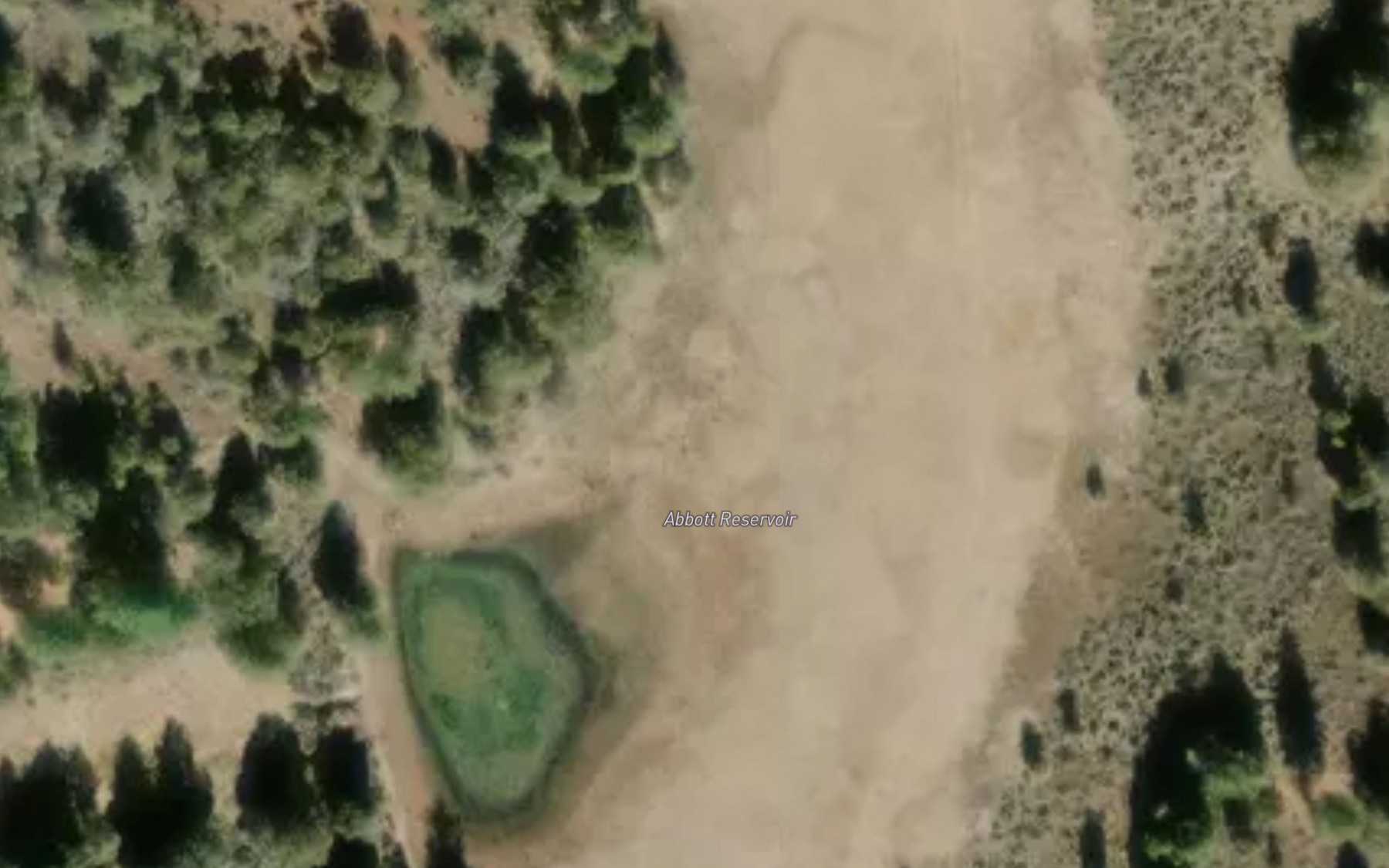 Satellite map of the Abbott Reservoir