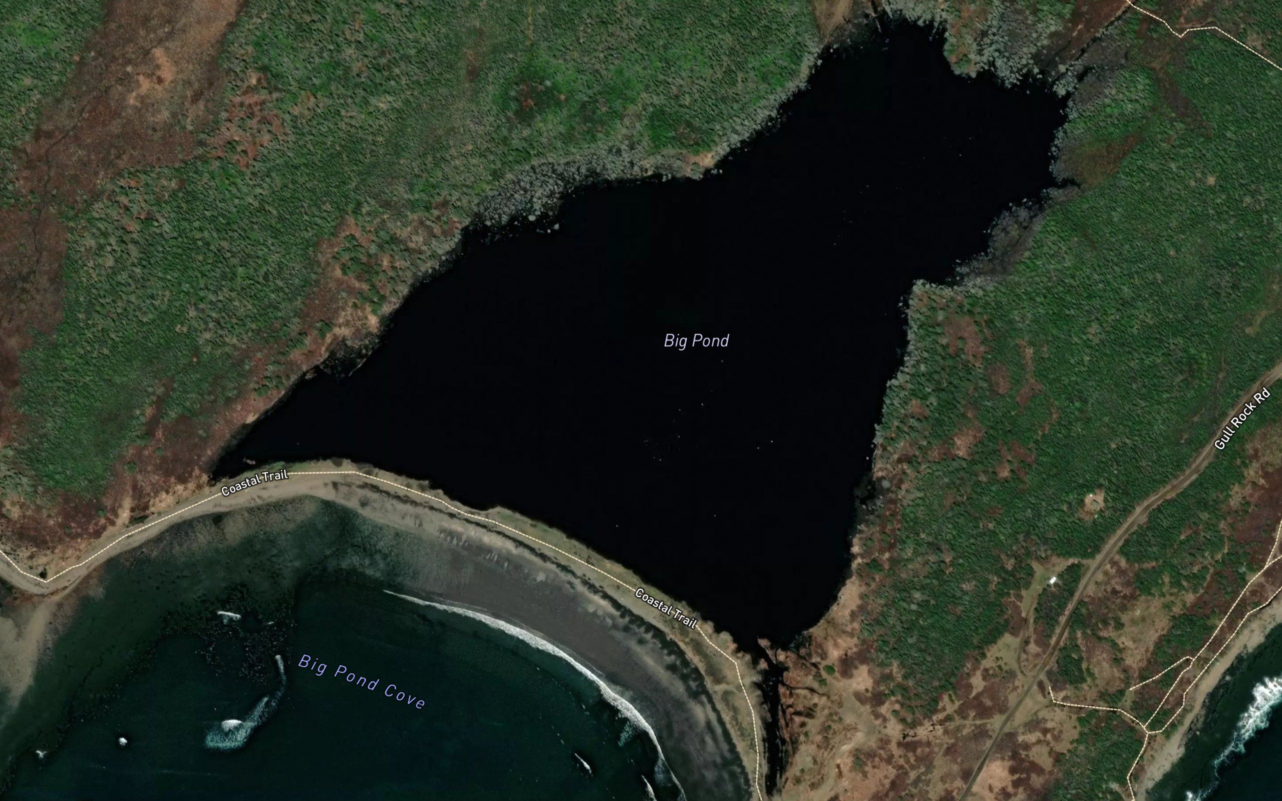 Big Pond