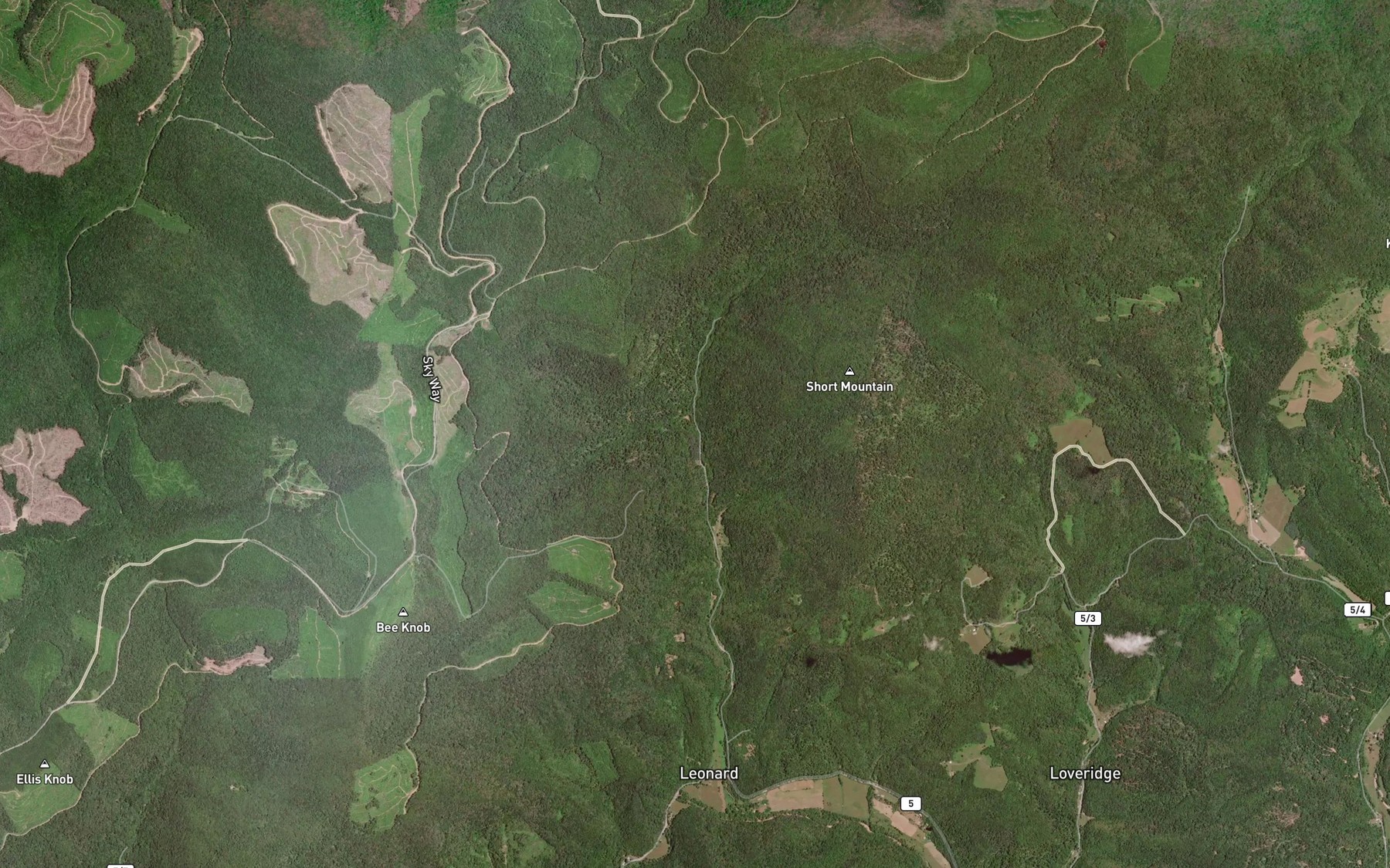 Satellite map of the Beard Lick Run