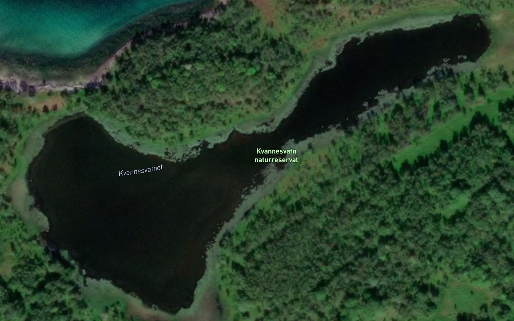 Satellite map of the Kvannesvatnet