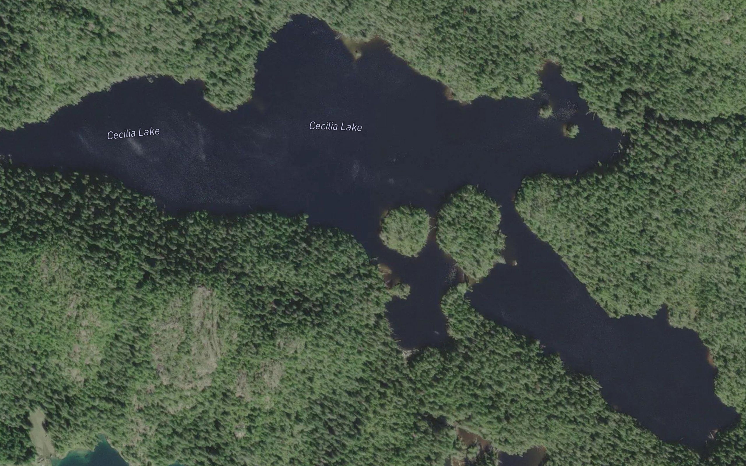 Cecilia Lake