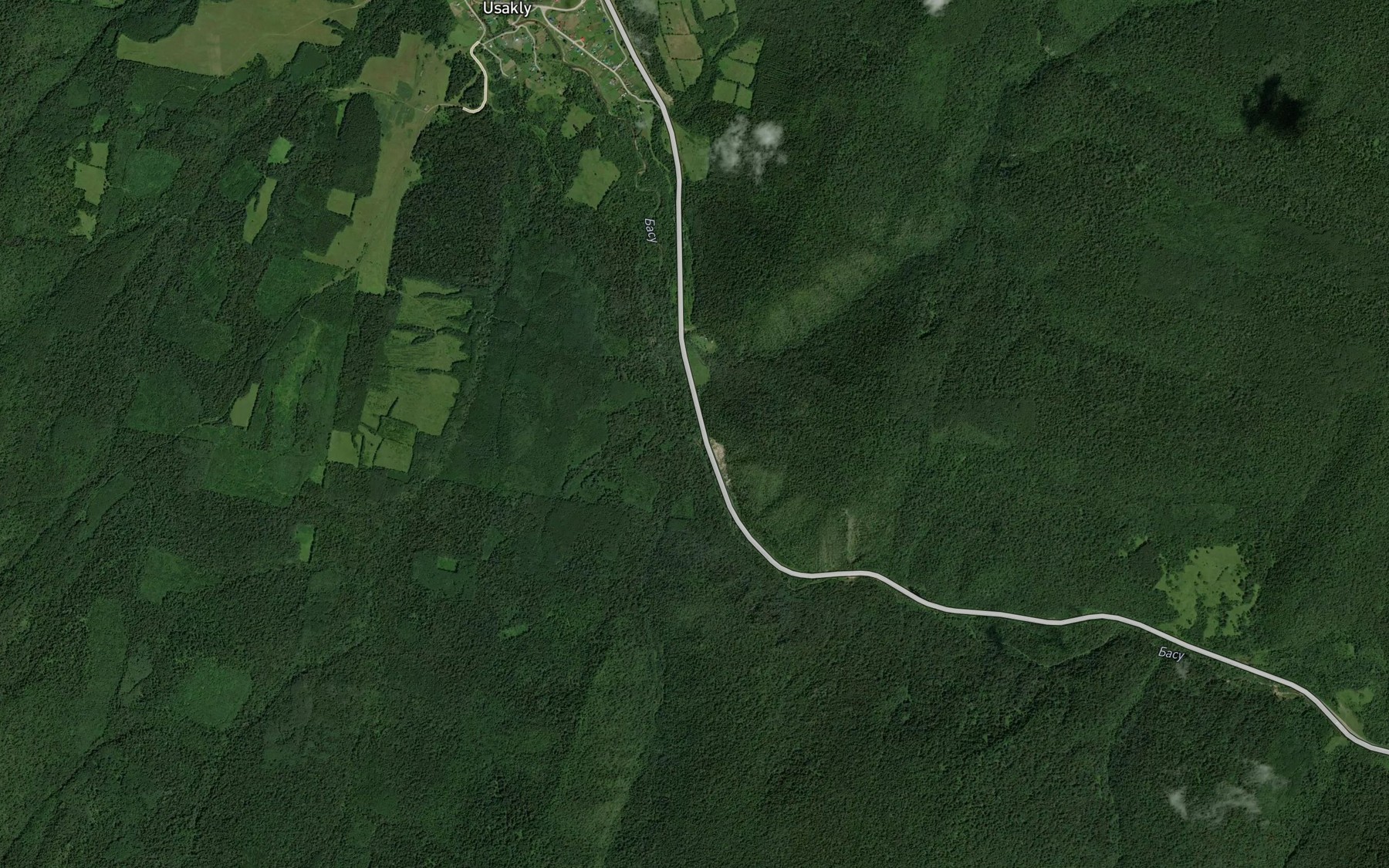 Satellite map of the Tashly