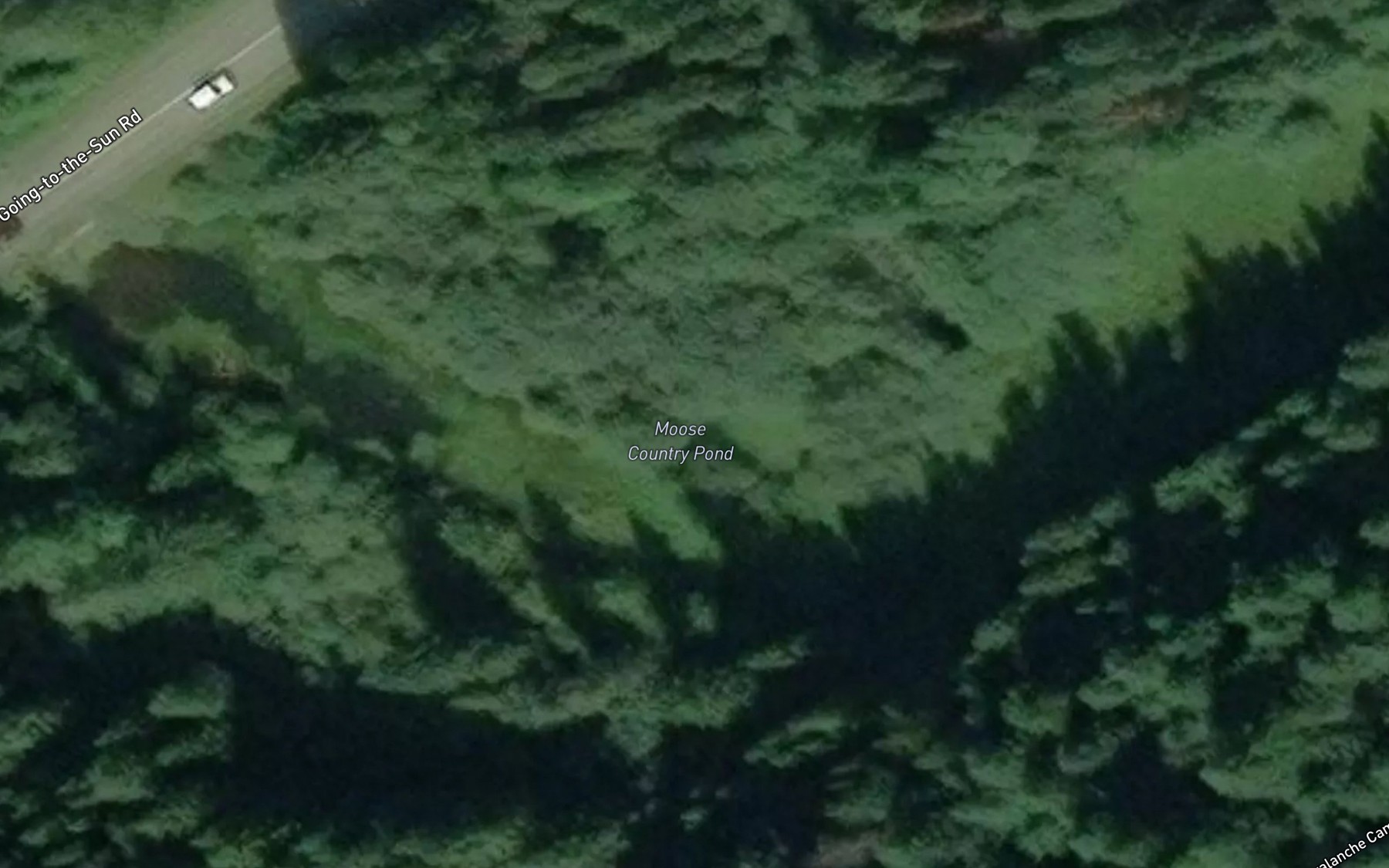 Satellite map of the Moose Country Pond