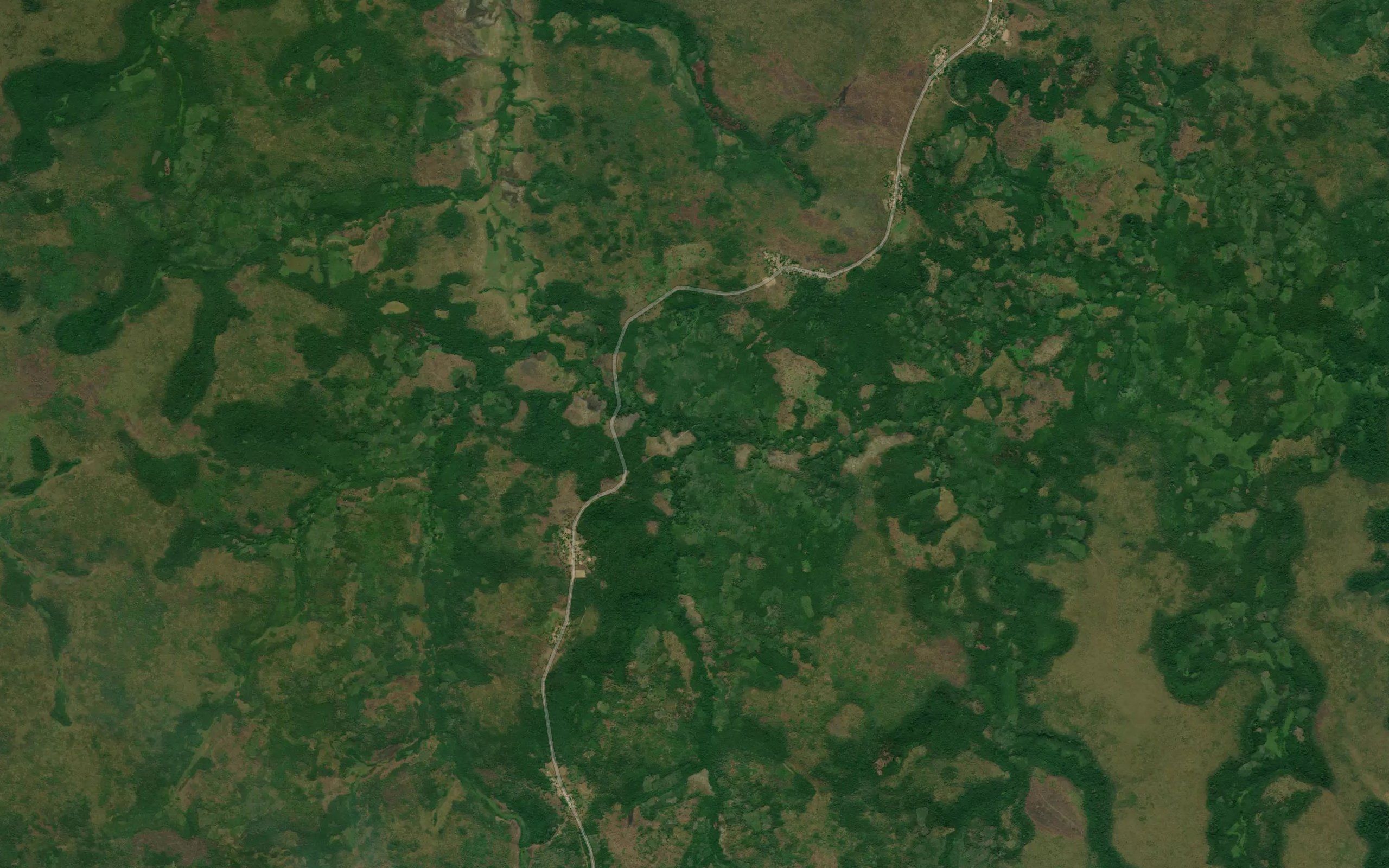 Sunga
