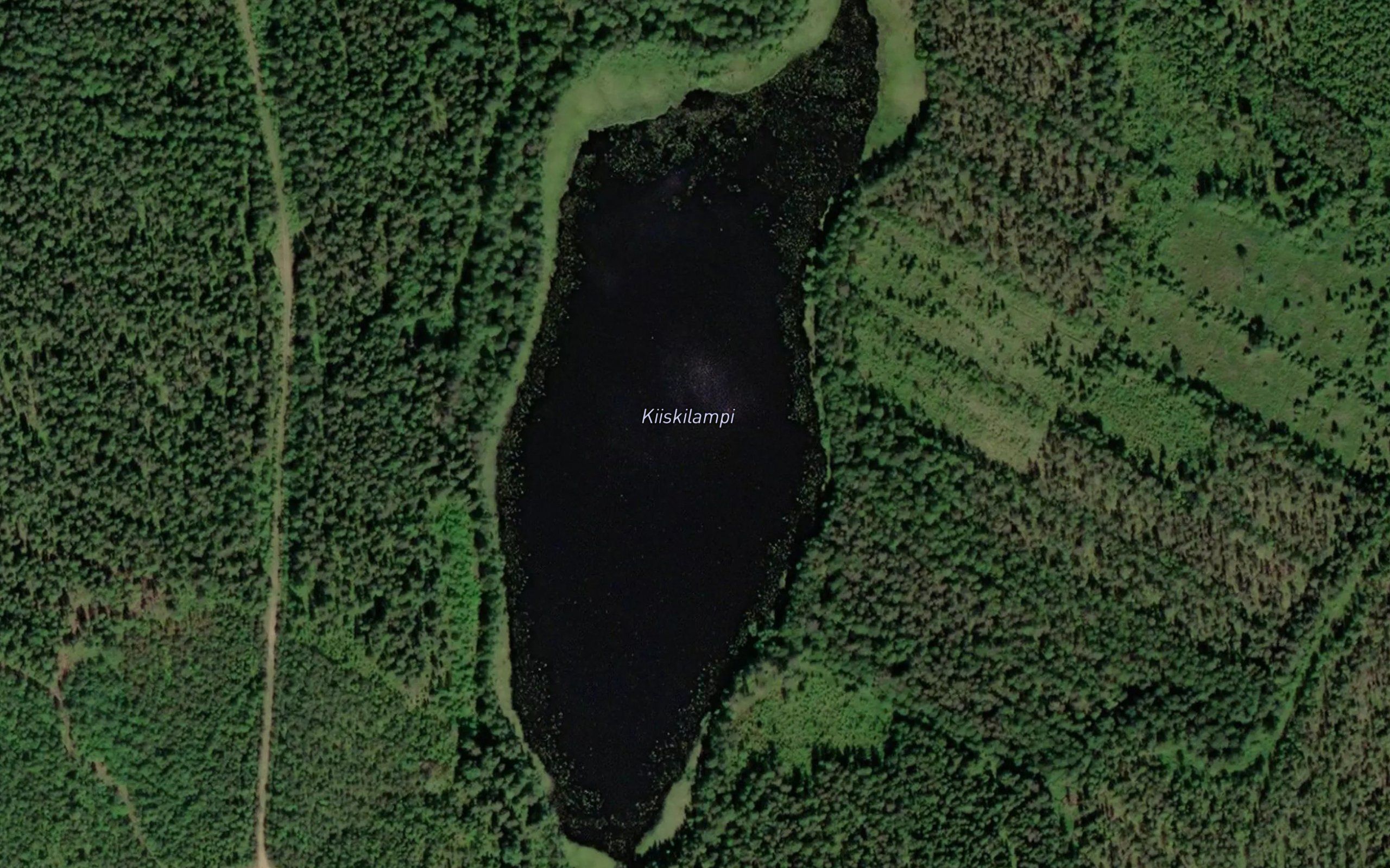 Kiiskilampi