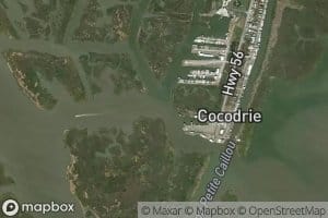 Little Cocodrie Bayou