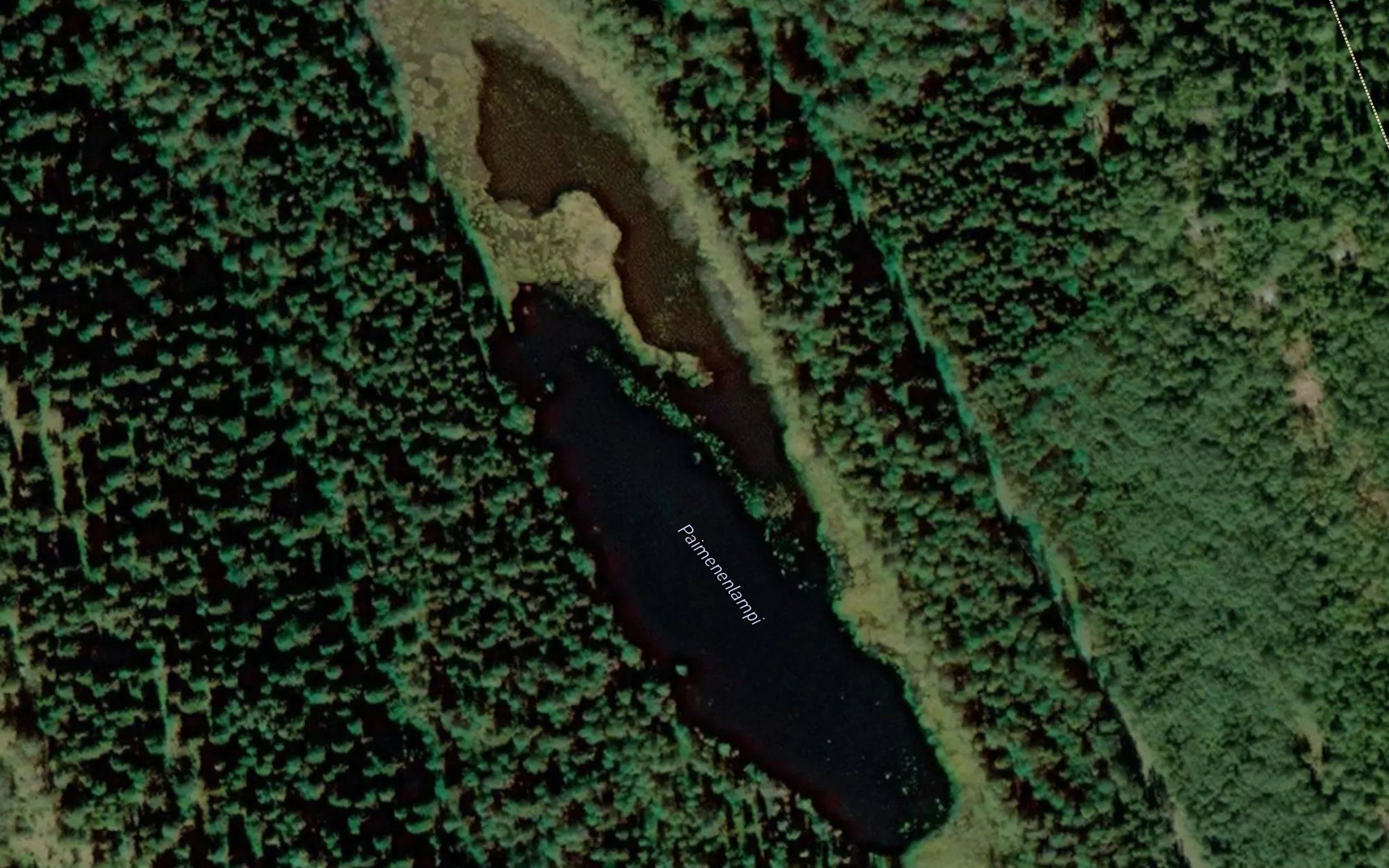 Paimenenlampi