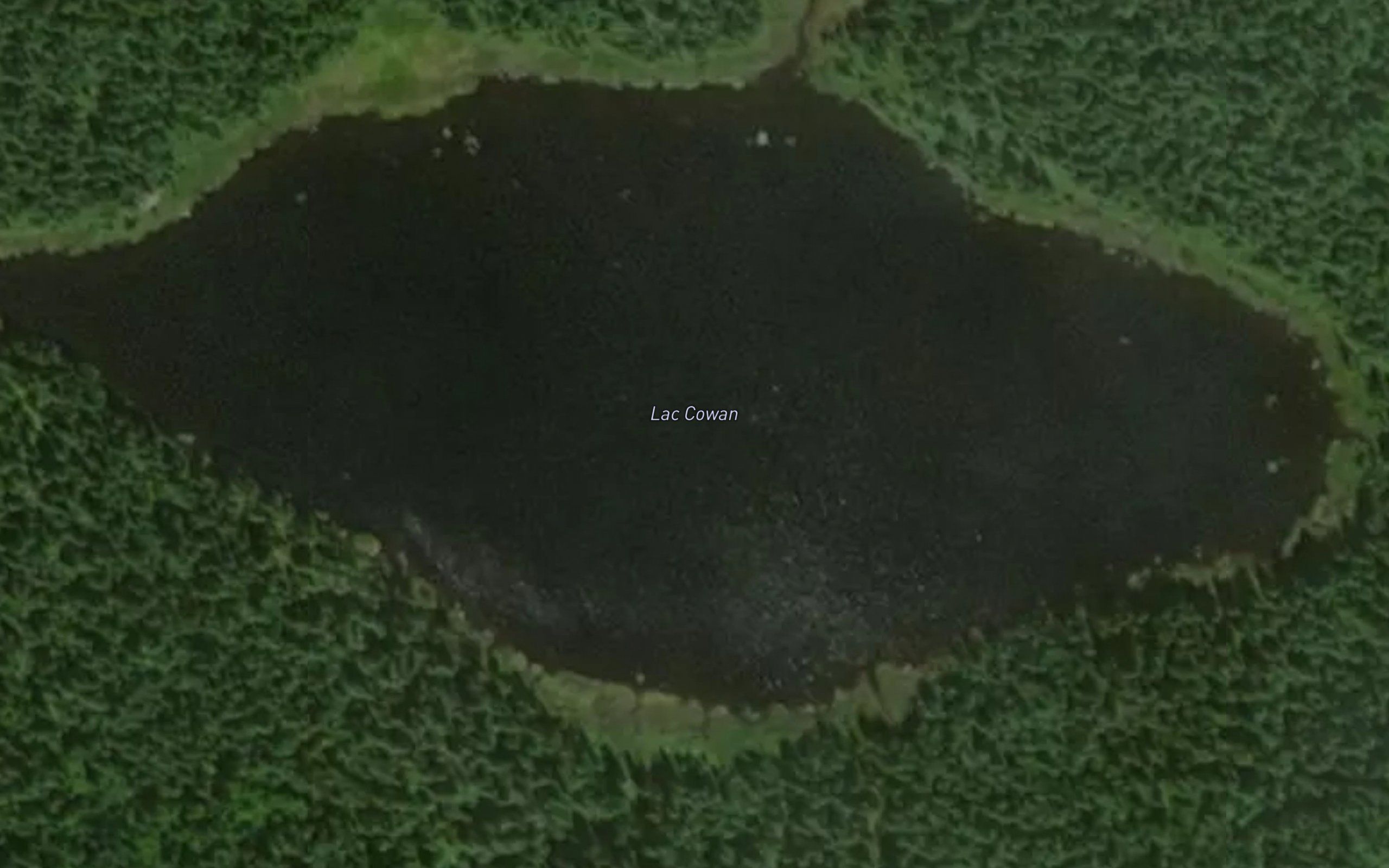 Lac Cowan