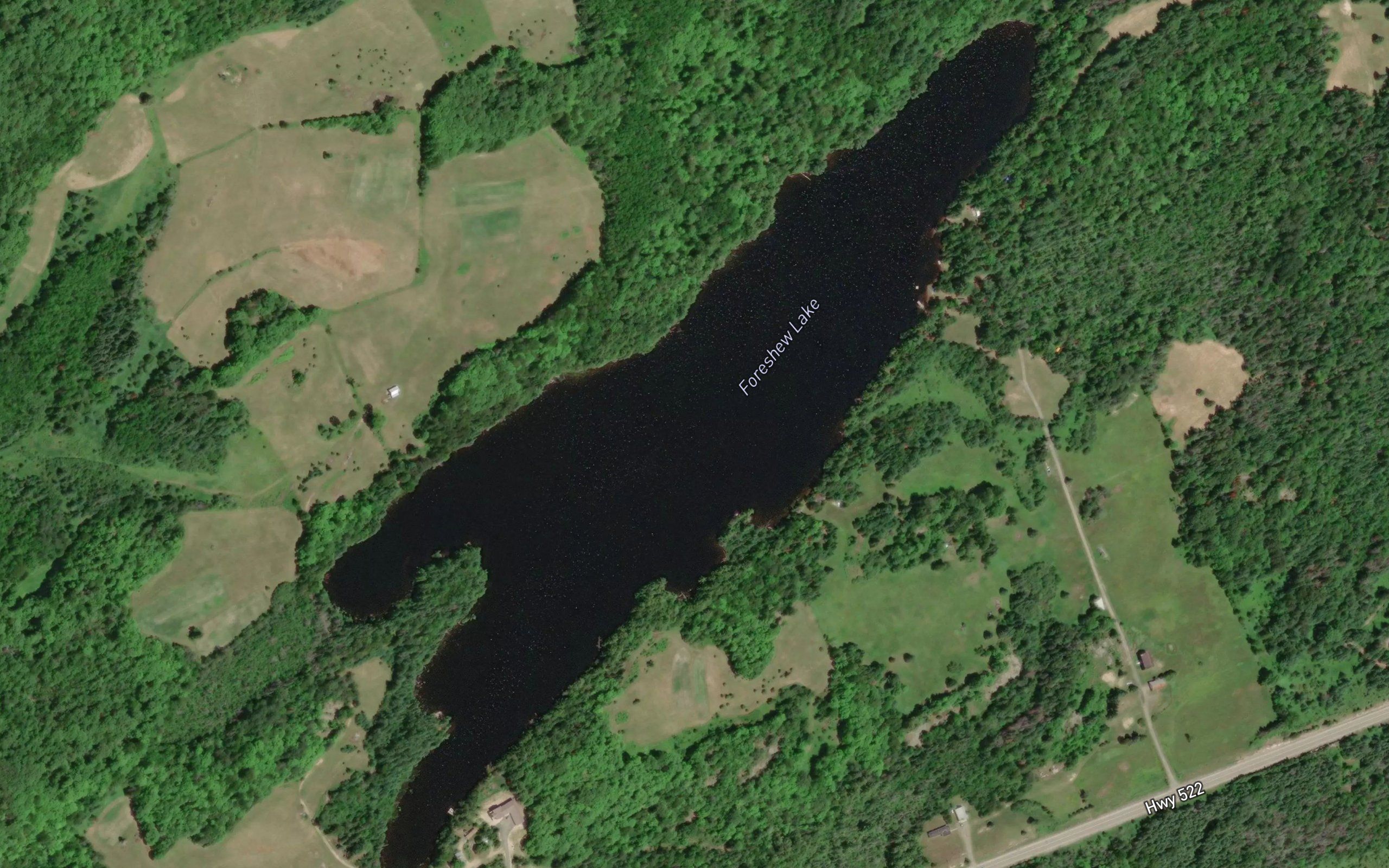 Foreshew Lake