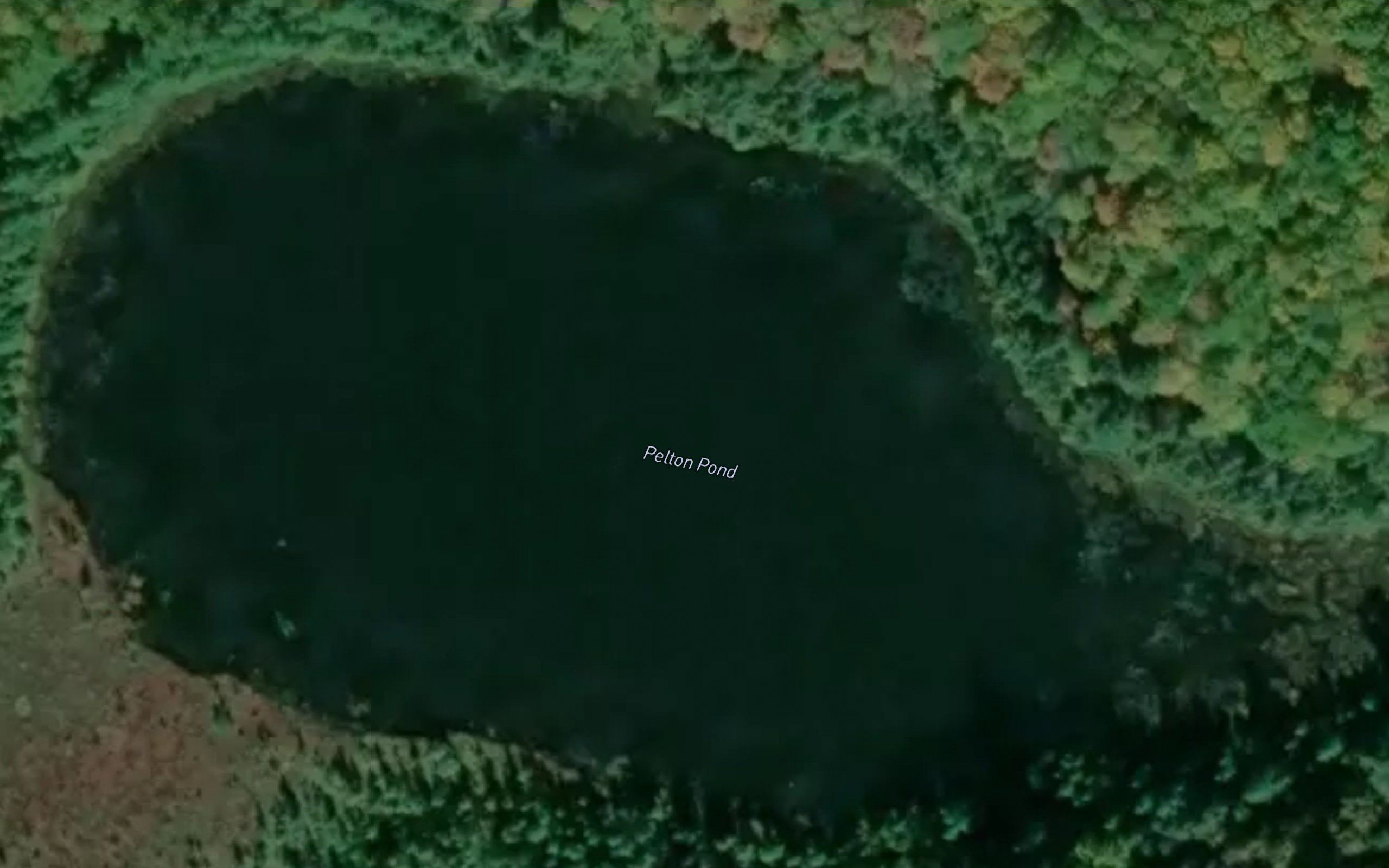 Pelton Pond
