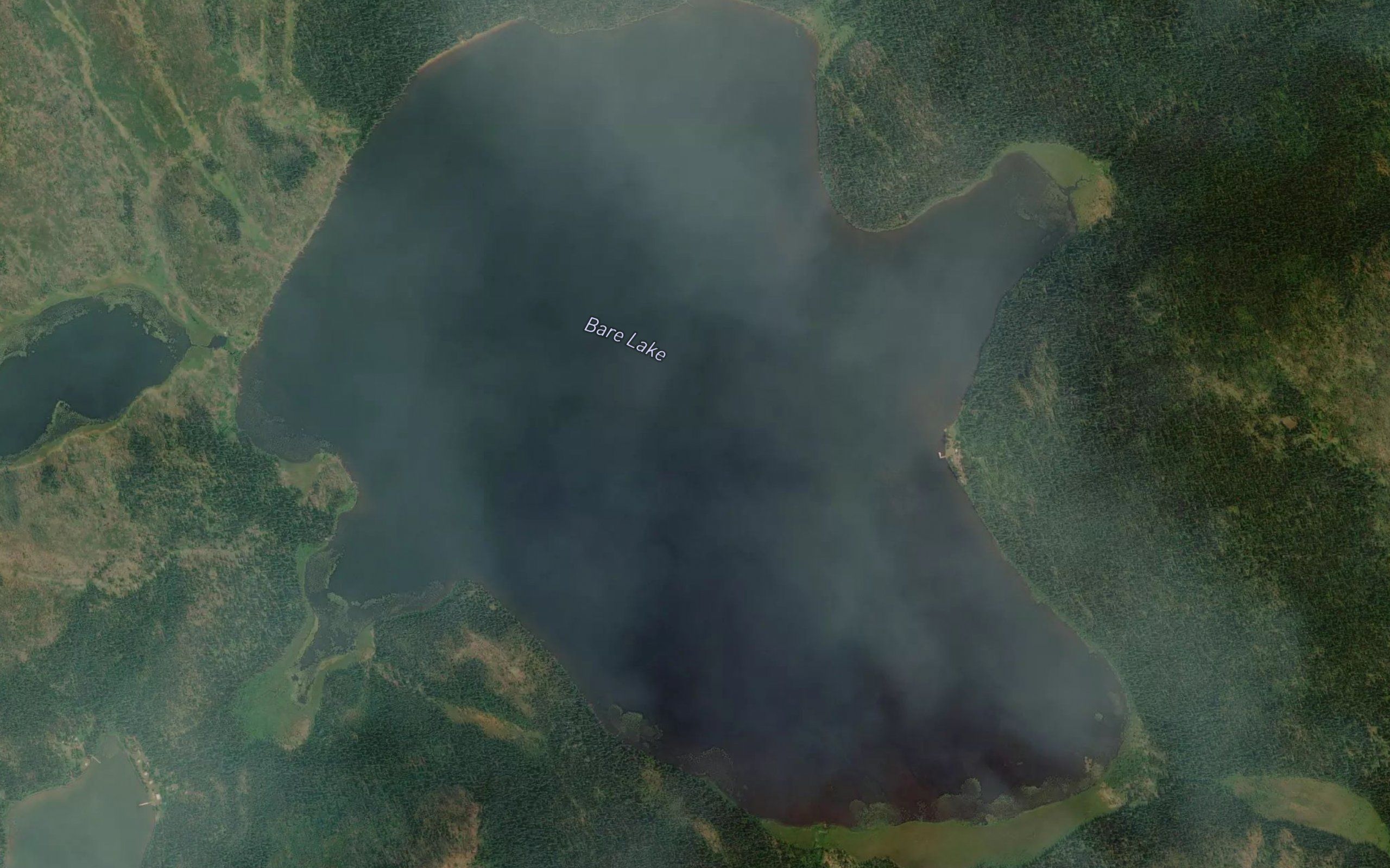 Bare Lake